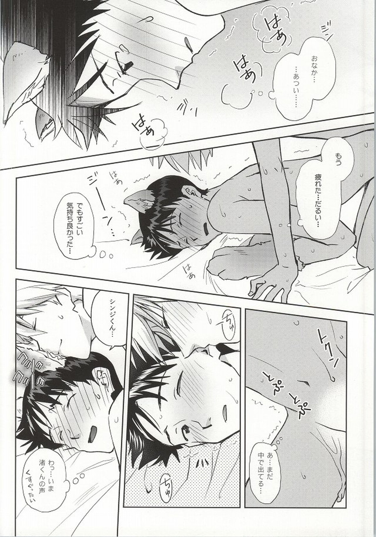 わんこな彼氏おとな向け【新世紀エヴァンゲリオン/カヲシン】 page 27
