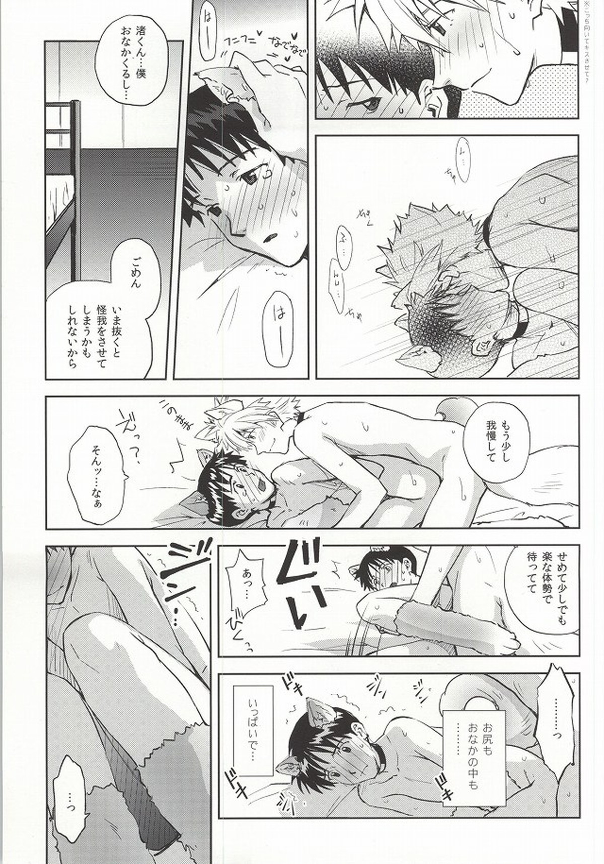 わんこな彼氏おとな向け【新世紀エヴァンゲリオン/カヲシン】 page 28
