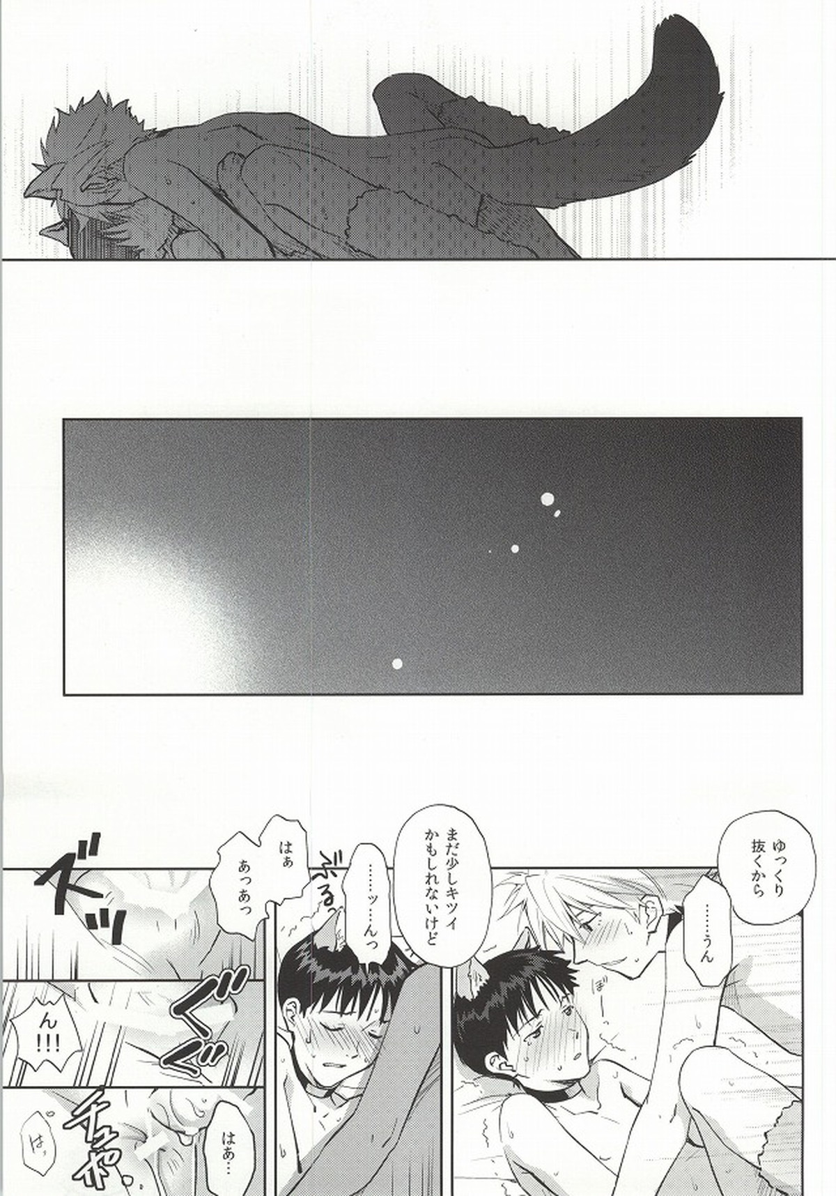 わんこな彼氏おとな向け【新世紀エヴァンゲリオン/カヲシン】 page 30