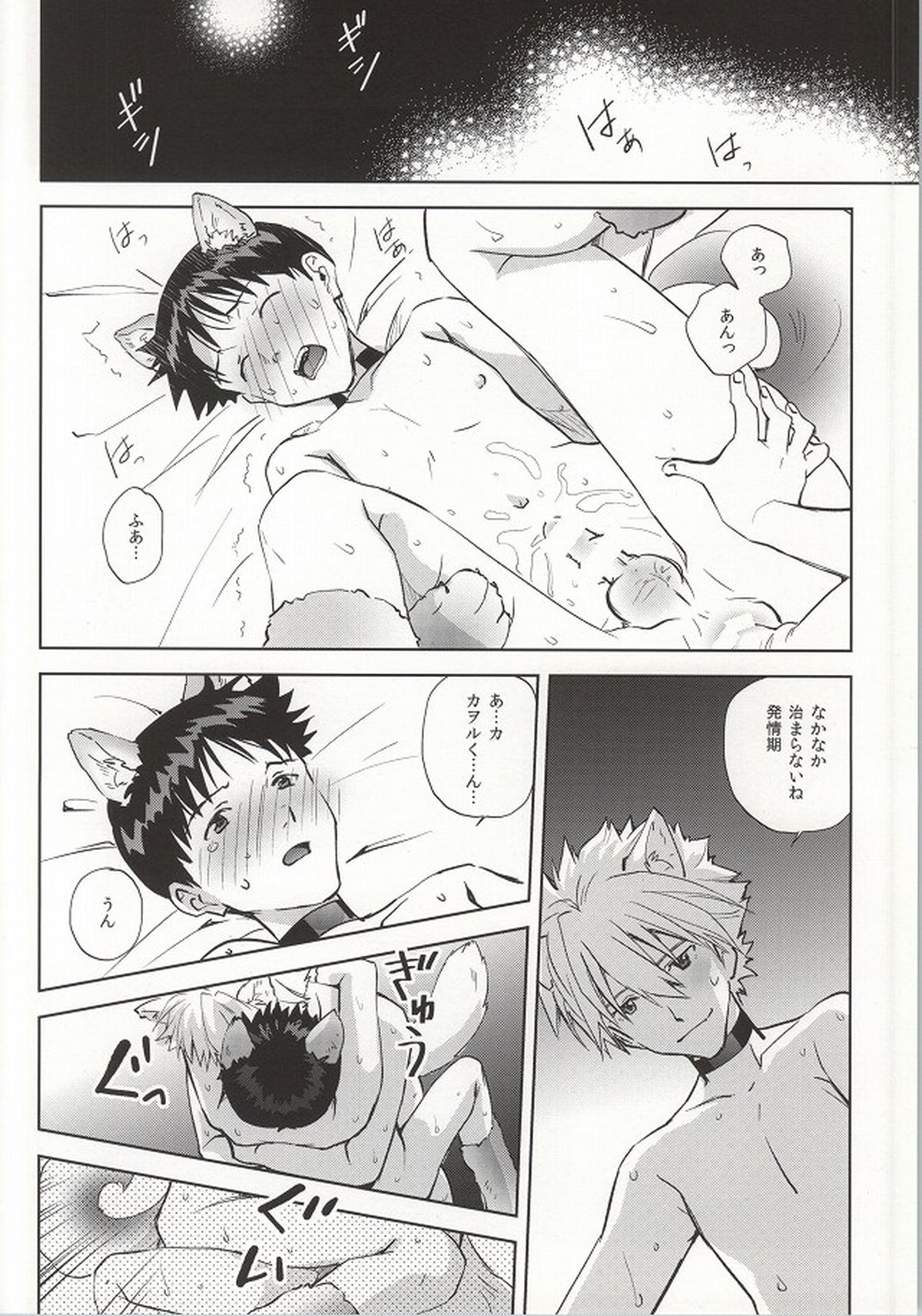 わんこな彼氏おとな向け【新世紀エヴァンゲリオン/カヲシン】 page 35