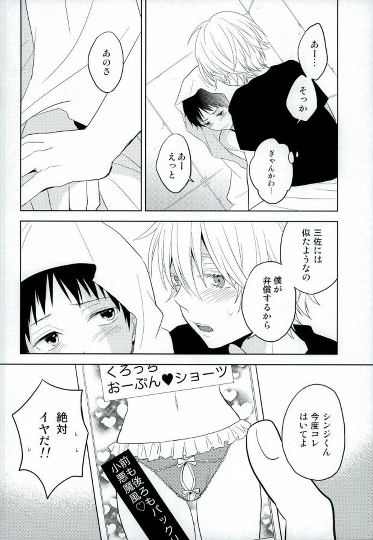 シンジくん今どんなパンツはいてるの【新世紀エヴァンゲリオン/カヲシン】 page 19