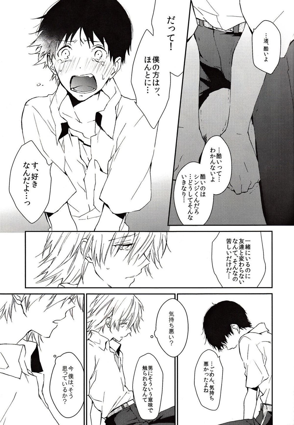 この熱の名を知らない【新世紀エヴァンゲリオン/カヲシン】 page 20