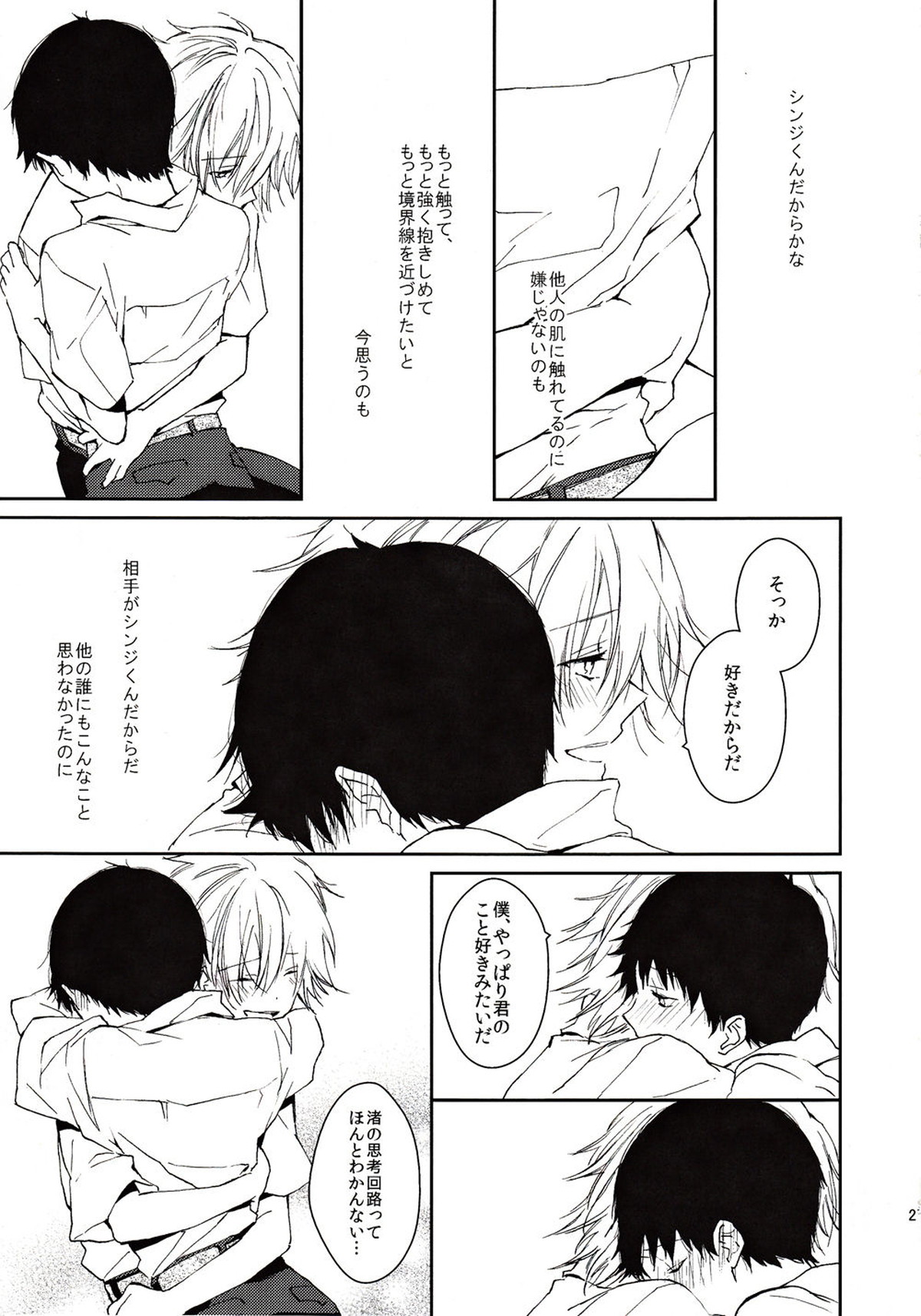 この熱の名を知らない【新世紀エヴァンゲリオン/カヲシン】 page 26
