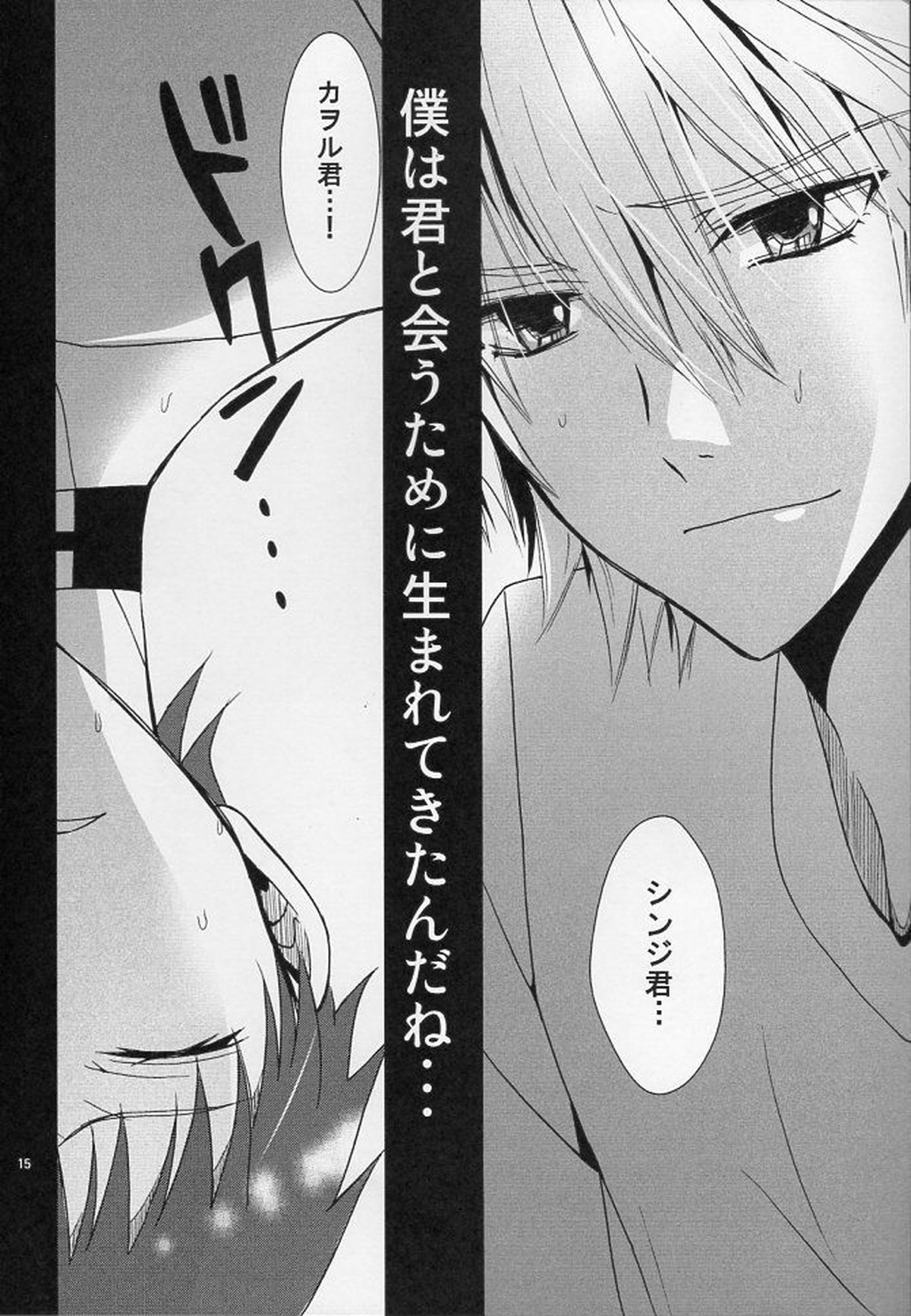 ふたりできもちいいことをしようよ【新世紀エヴァンゲリオン/カヲシン】 page 14