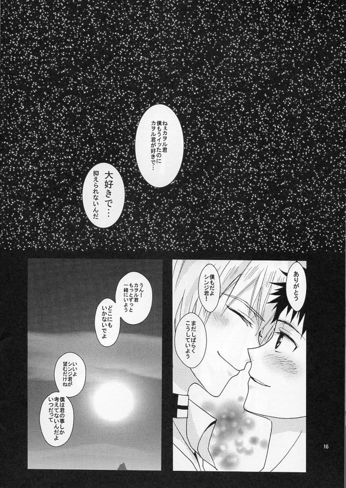 ふたりできもちいいことをしようよ【新世紀エヴァンゲリオン/カヲシン】 page 15