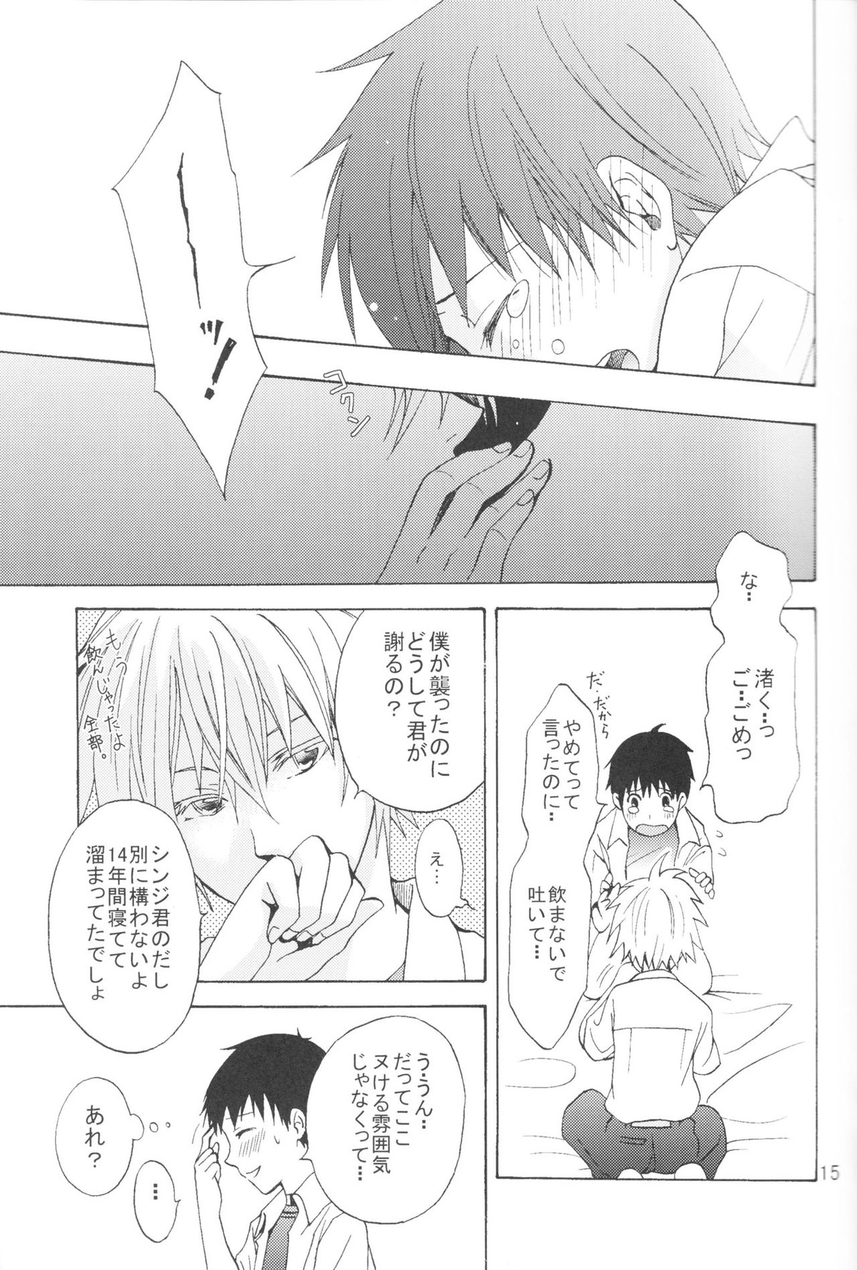 Nr.9【新世紀エヴァンゲリオン/カヲシン】 page 12