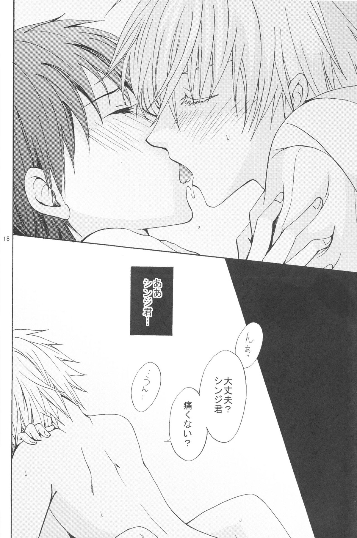 Nr.9【新世紀エヴァンゲリオン/カヲシン】 page 15