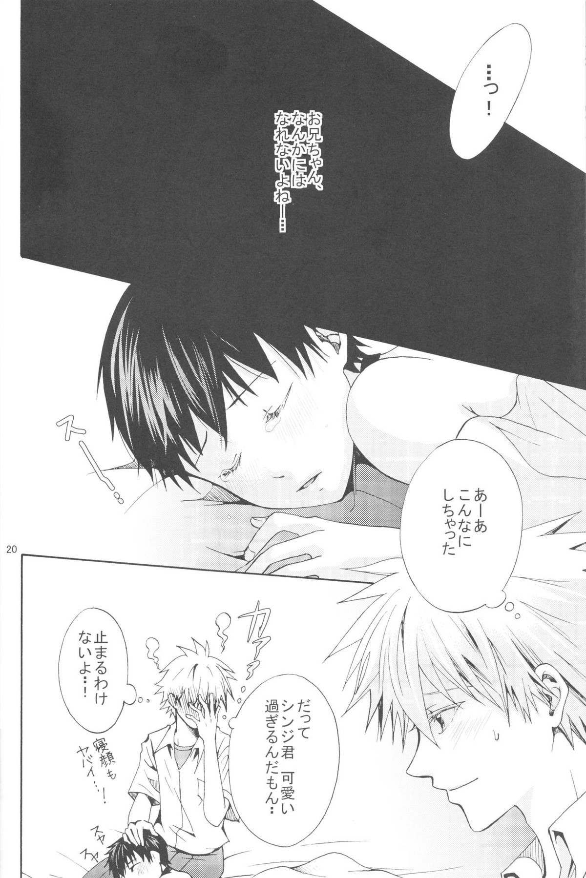Nr.9【新世紀エヴァンゲリオン/カヲシン】 page 17
