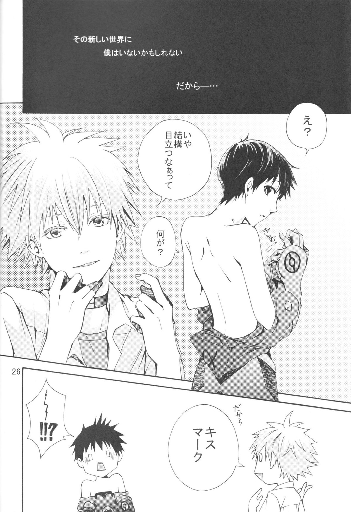 Nr.9【新世紀エヴァンゲリオン/カヲシン】 page 23