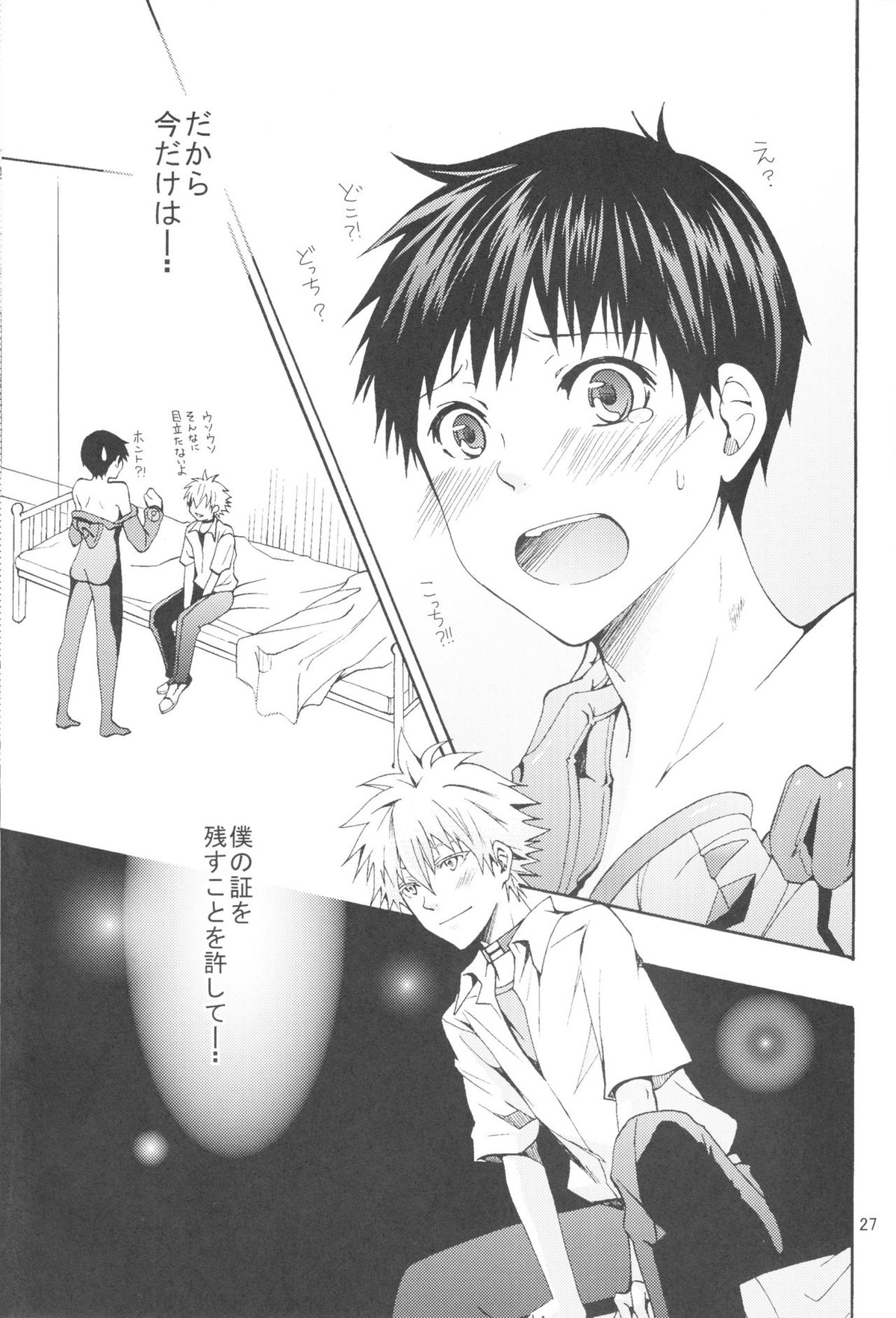 Nr.9【新世紀エヴァンゲリオン/カヲシン】 page 24