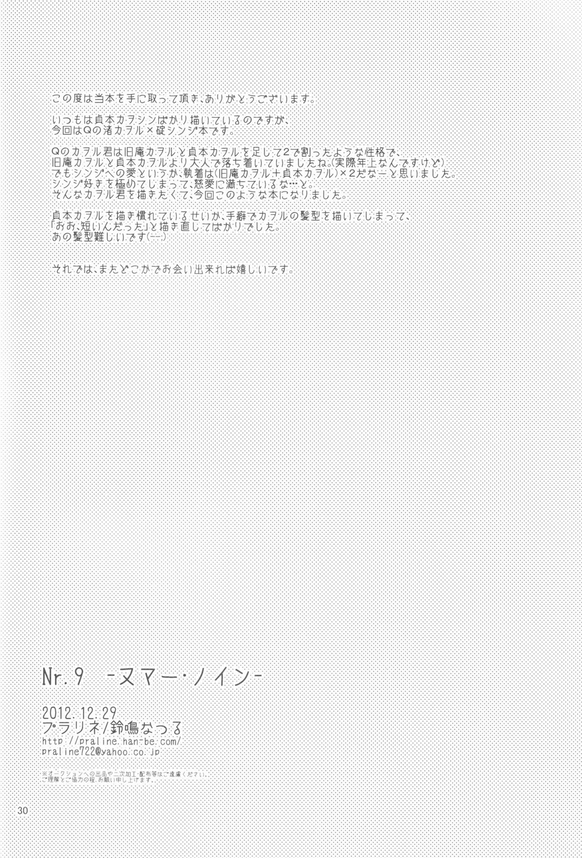 Nr.9【新世紀エヴァンゲリオン/カヲシン】 page 27