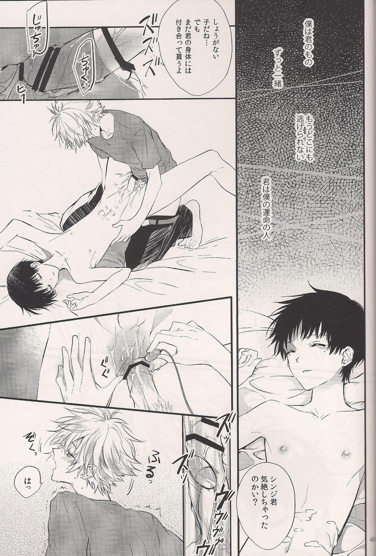 蝕まれた世界の中で【新世紀エヴァンゲリオン/カヲシン】 page 47