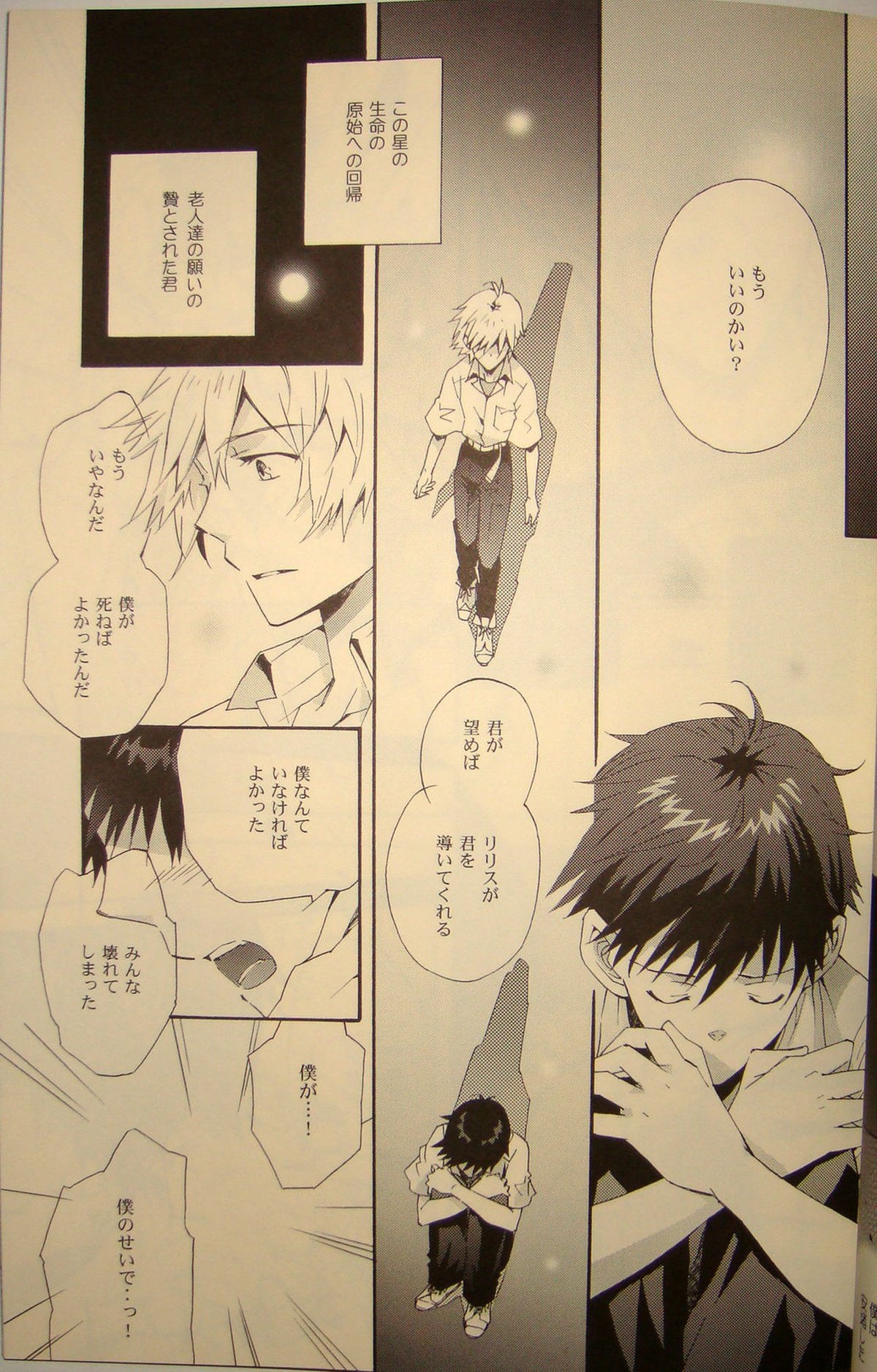 夢のつづき【新世紀エヴァンゲリオン/カヲシン】 page 14