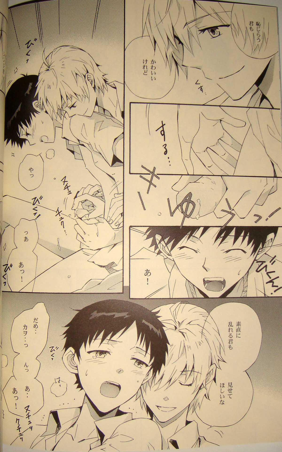夢のつづき【新世紀エヴァンゲリオン/カヲシン】 page 17
