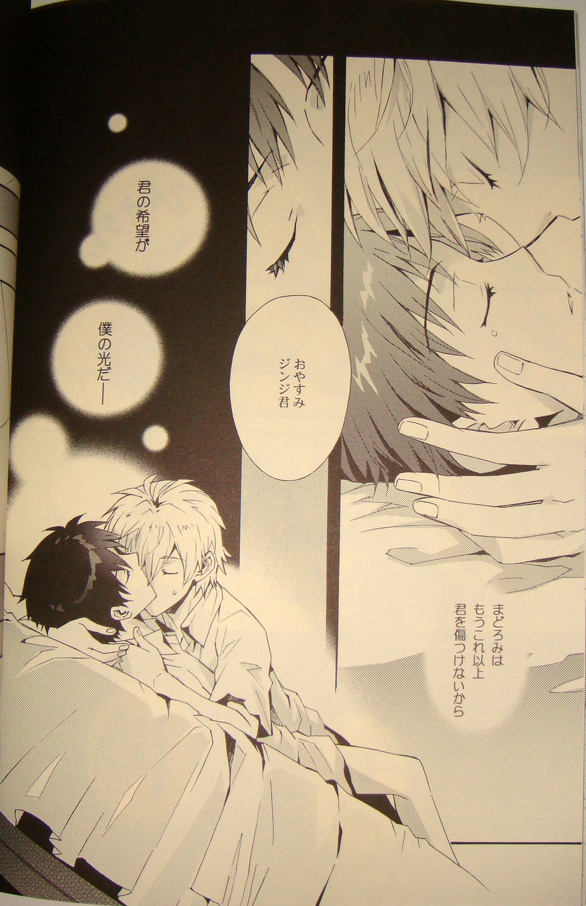 夢のつづき【新世紀エヴァンゲリオン/カヲシン】 page 27