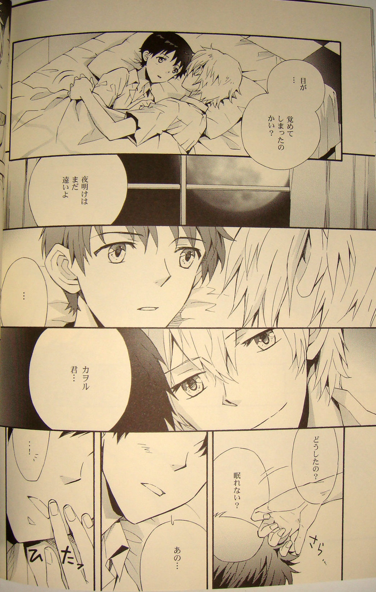 夢のつづき【新世紀エヴァンゲリオン/カヲシン】 page 29