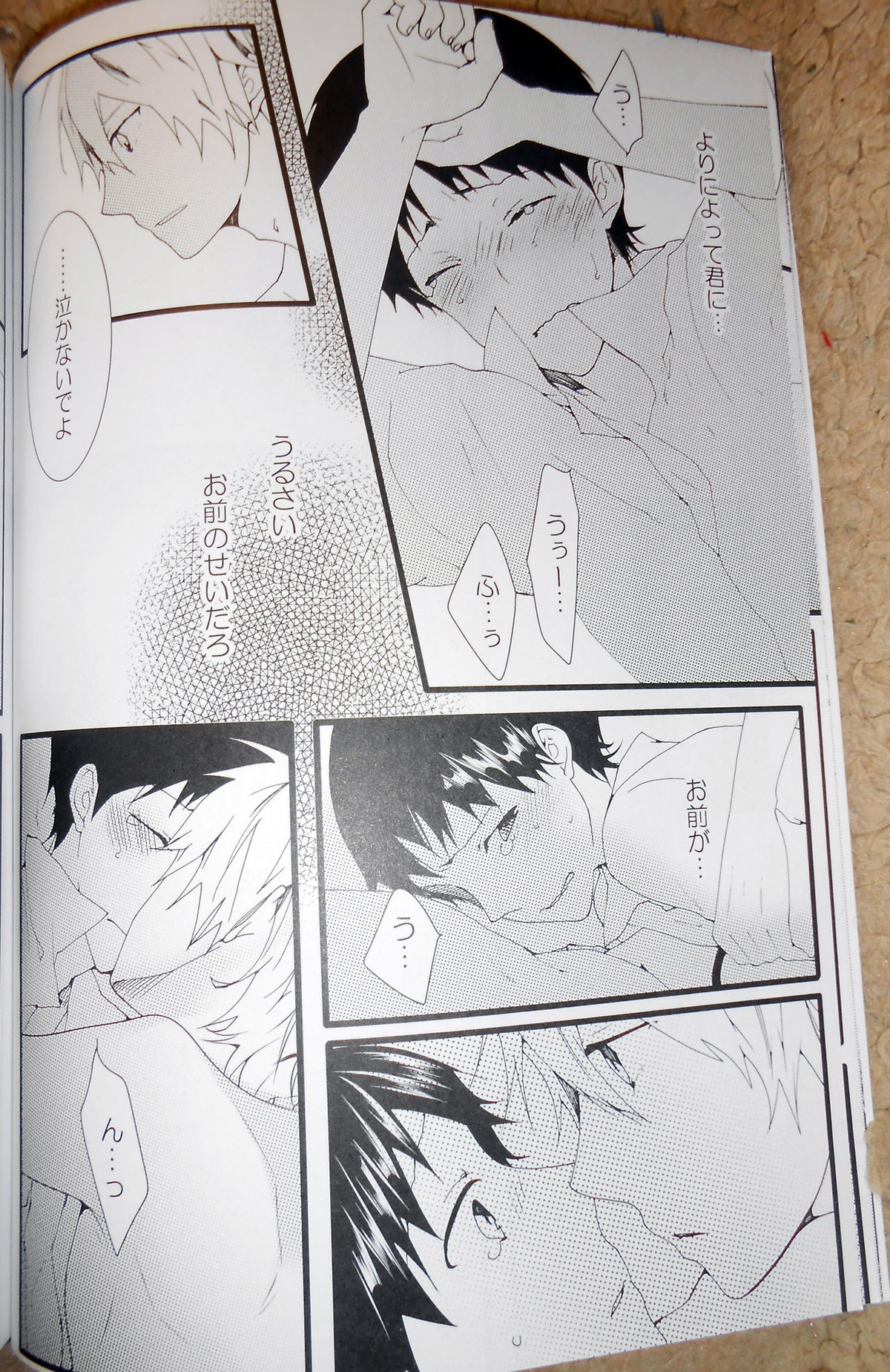 証【新世紀エヴァンゲリオン/カヲシン】 page 11