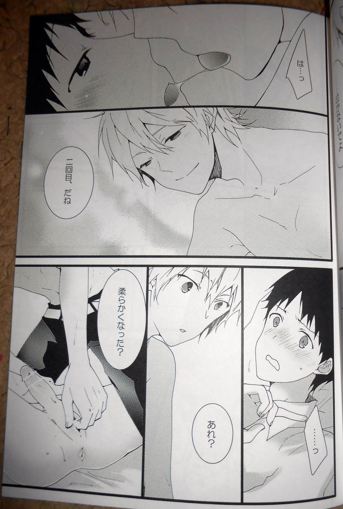 証【新世紀エヴァンゲリオン/カヲシン】 page 12