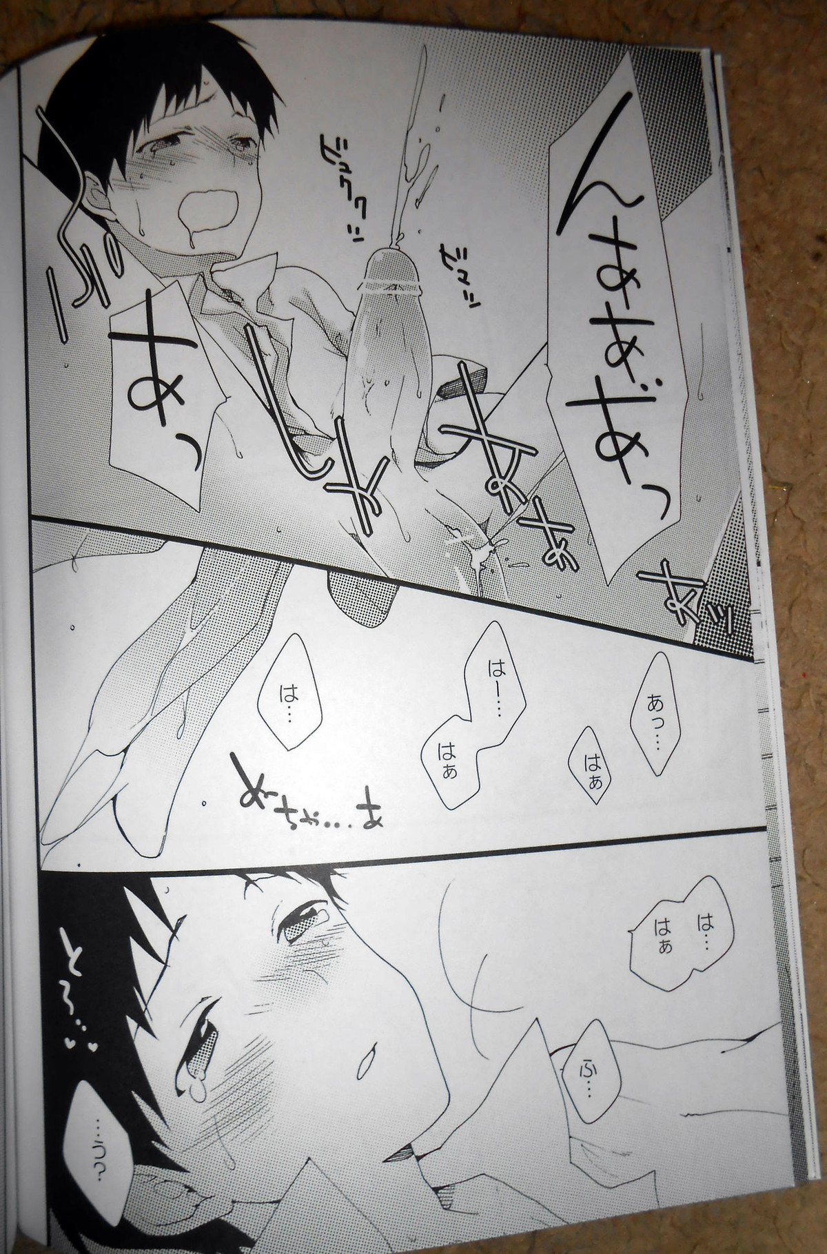 証【新世紀エヴァンゲリオン/カヲシン】 page 15
