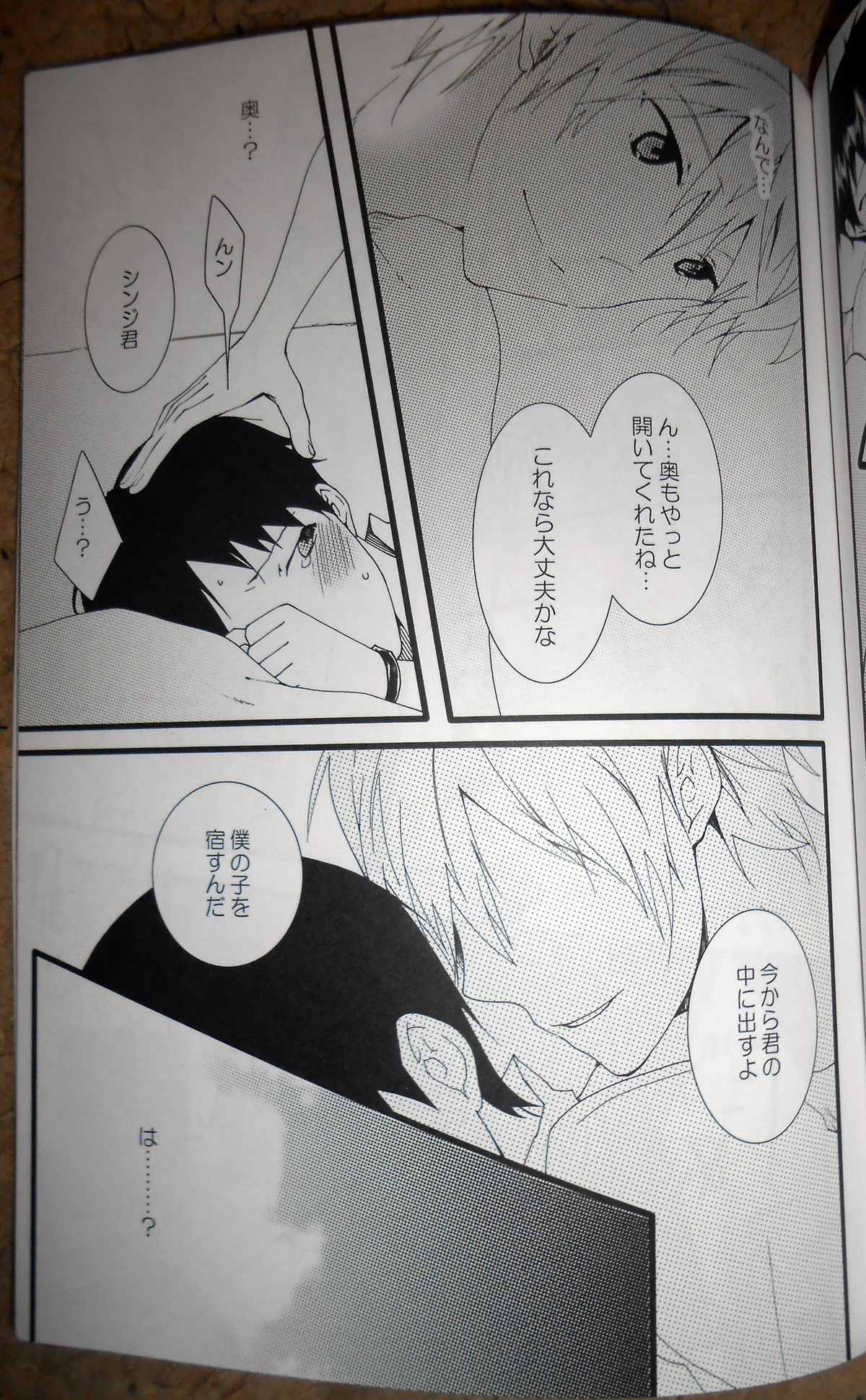 証【新世紀エヴァンゲリオン/カヲシン】 page 20