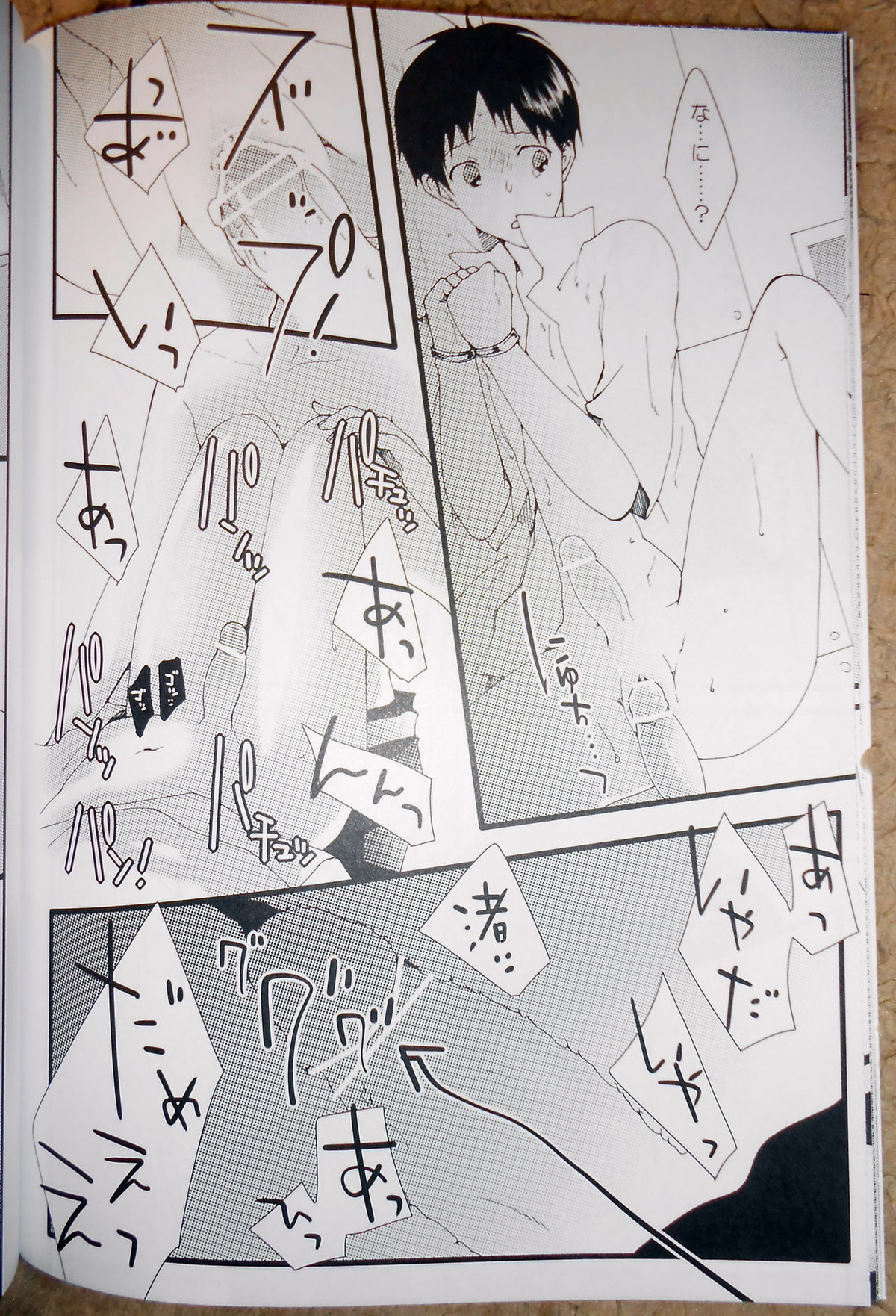 証【新世紀エヴァンゲリオン/カヲシン】 page 21