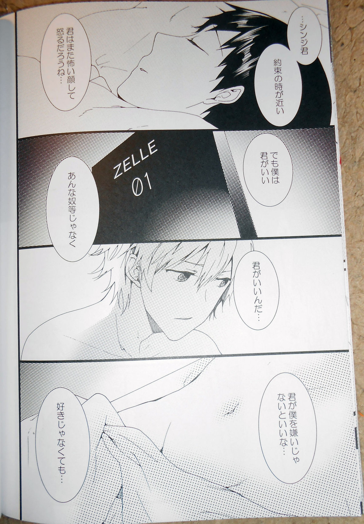 証【新世紀エヴァンゲリオン/カヲシン】 page 25