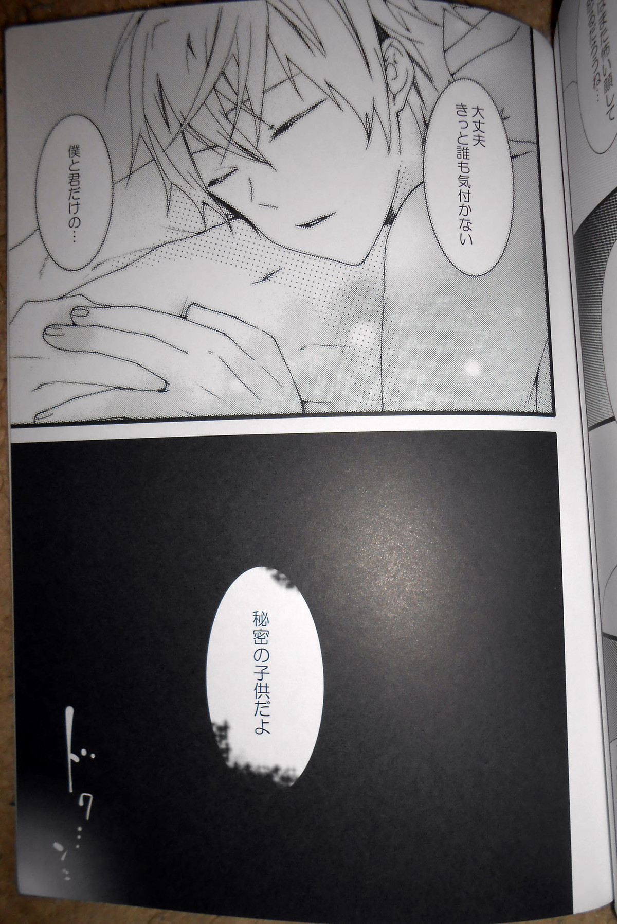 証【新世紀エヴァンゲリオン/カヲシン】 page 26