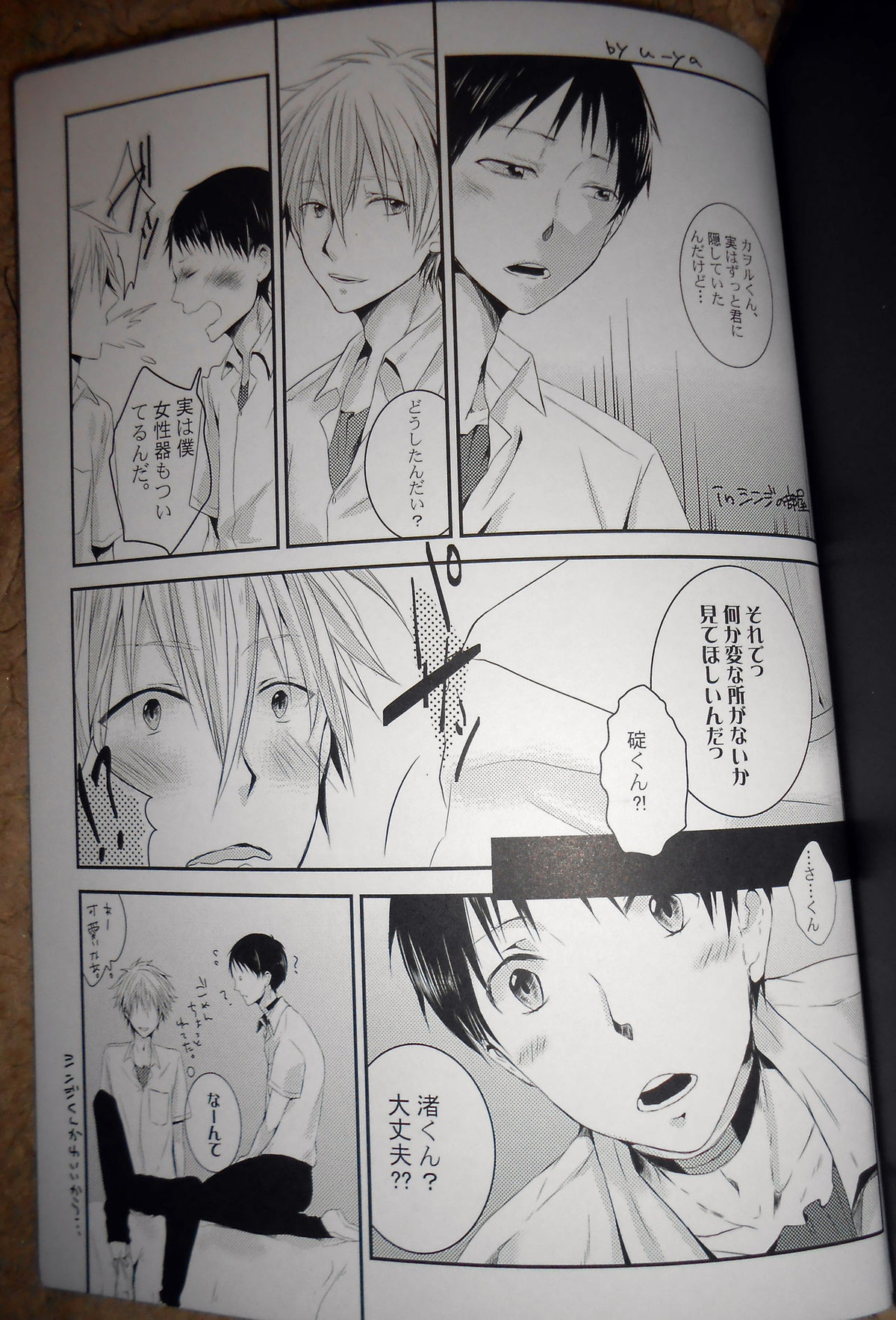 証【新世紀エヴァンゲリオン/カヲシン】 page 28