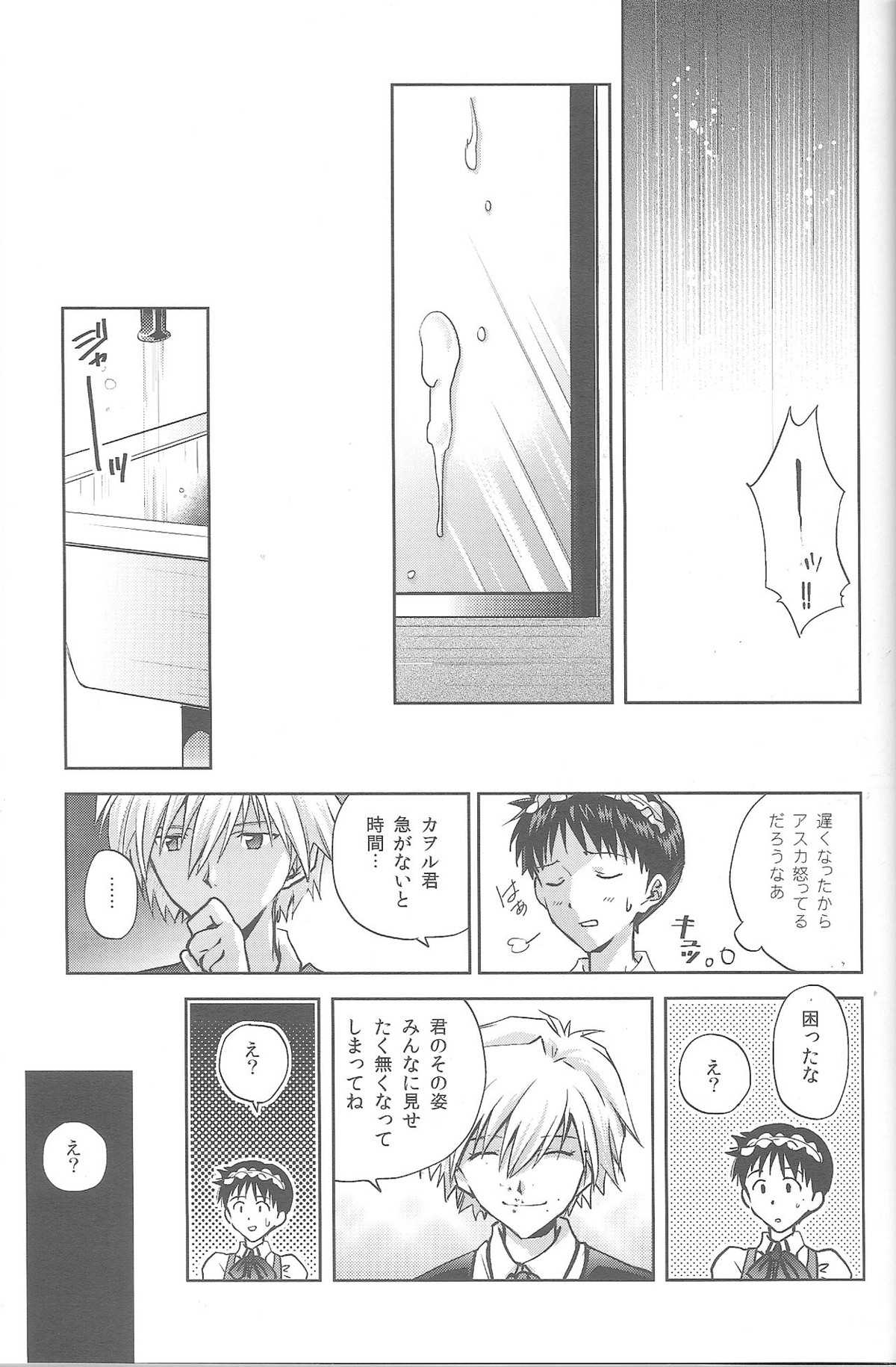 WaRninG WoRkinG【新世紀エヴァンゲリオン/カヲシン】 page 15