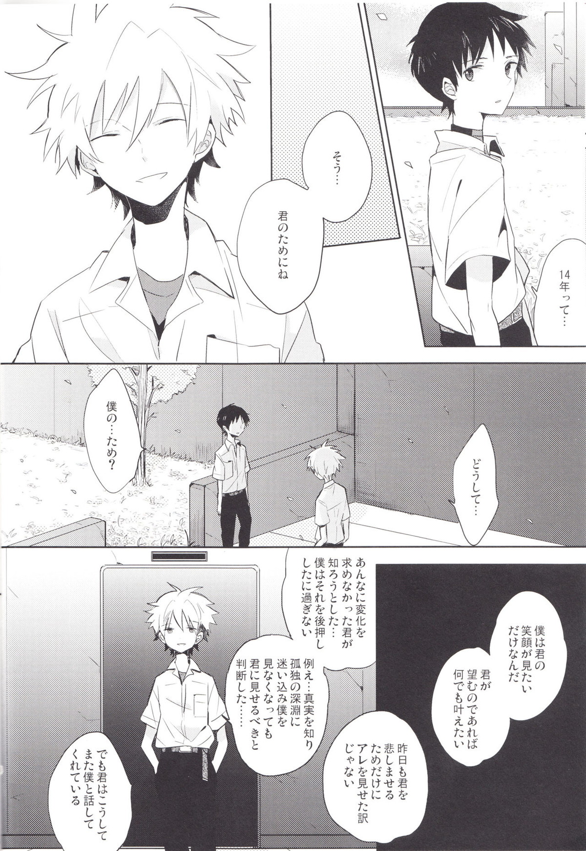 「Q」補完計画【新世紀エヴァンゲリオン/カヲシン】 page 13
