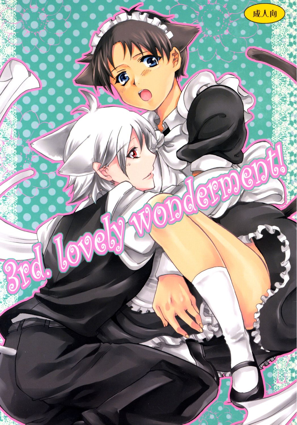 Recommended BL manga "3rd. lovely wonderment!【新世紀エヴァンゲリオン/カヲシン】" cover image