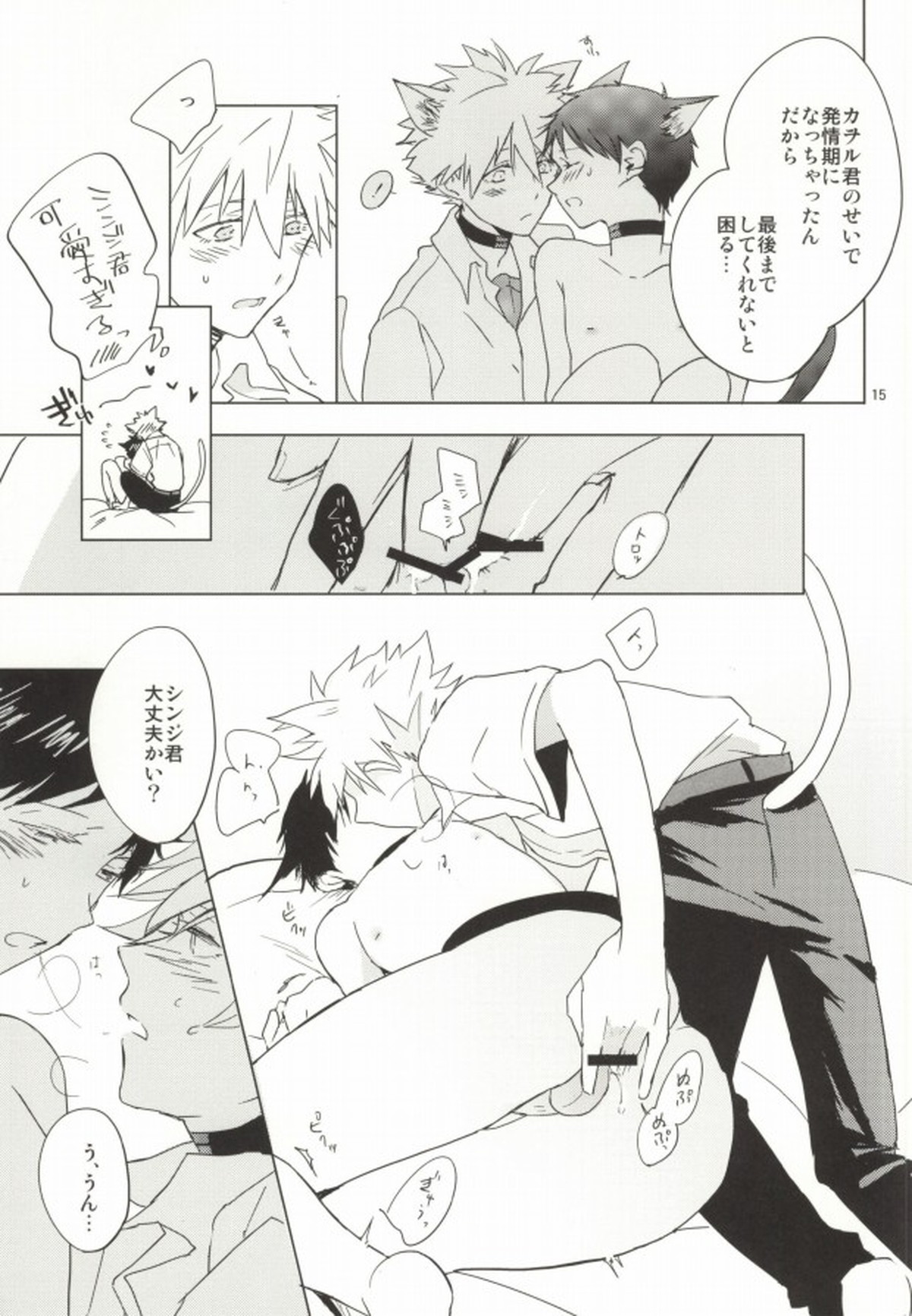 シンちゃんが発情期になりました。【新世紀エヴァンゲリオン/カヲシン】 page 14