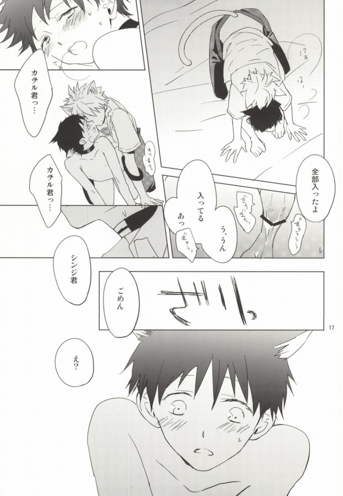 シンちゃんが発情期になりました。【新世紀エヴァンゲリオン/カヲシン】 page 16