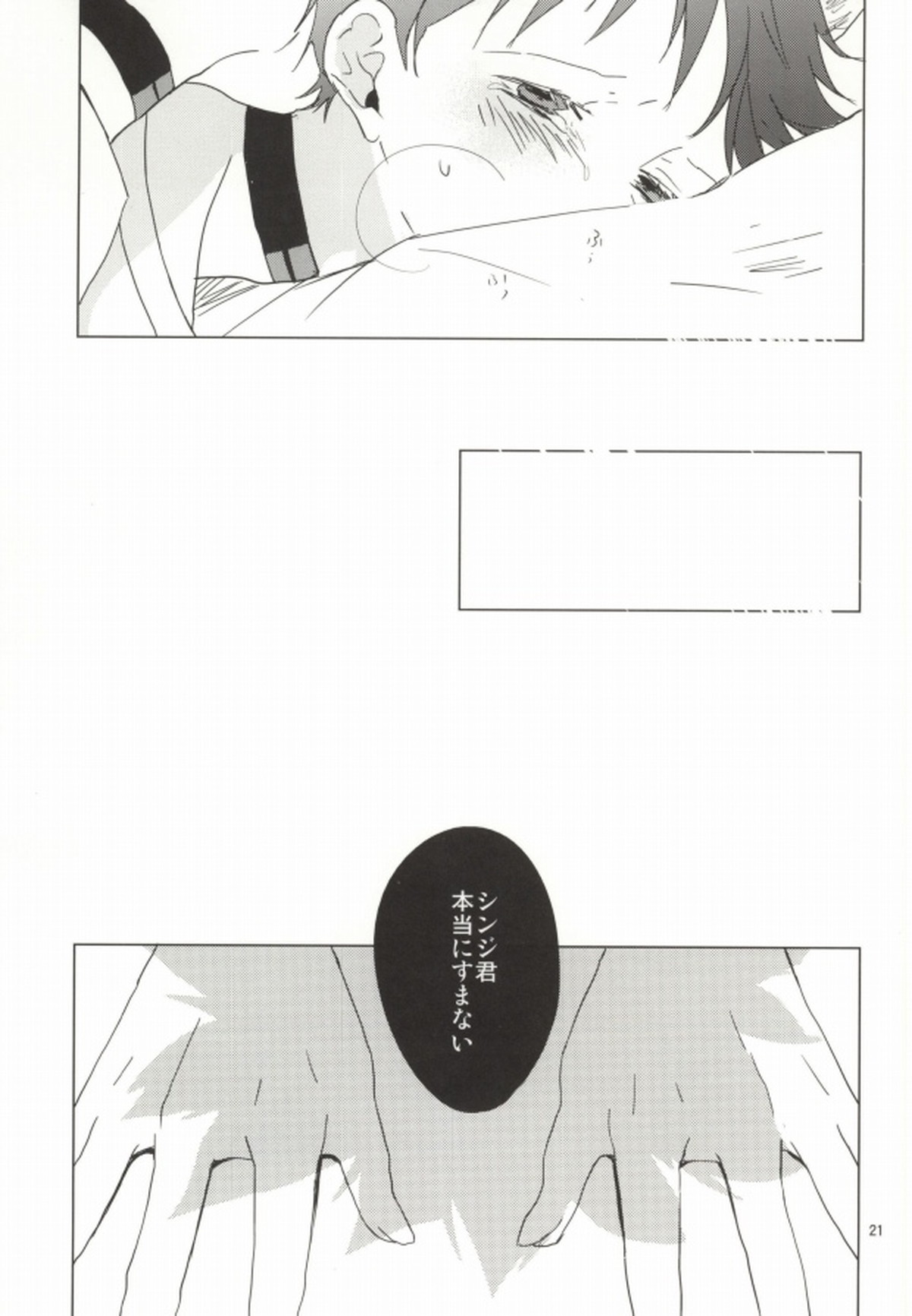 シンちゃんが発情期になりました。【新世紀エヴァンゲリオン/カヲシン】 page 20