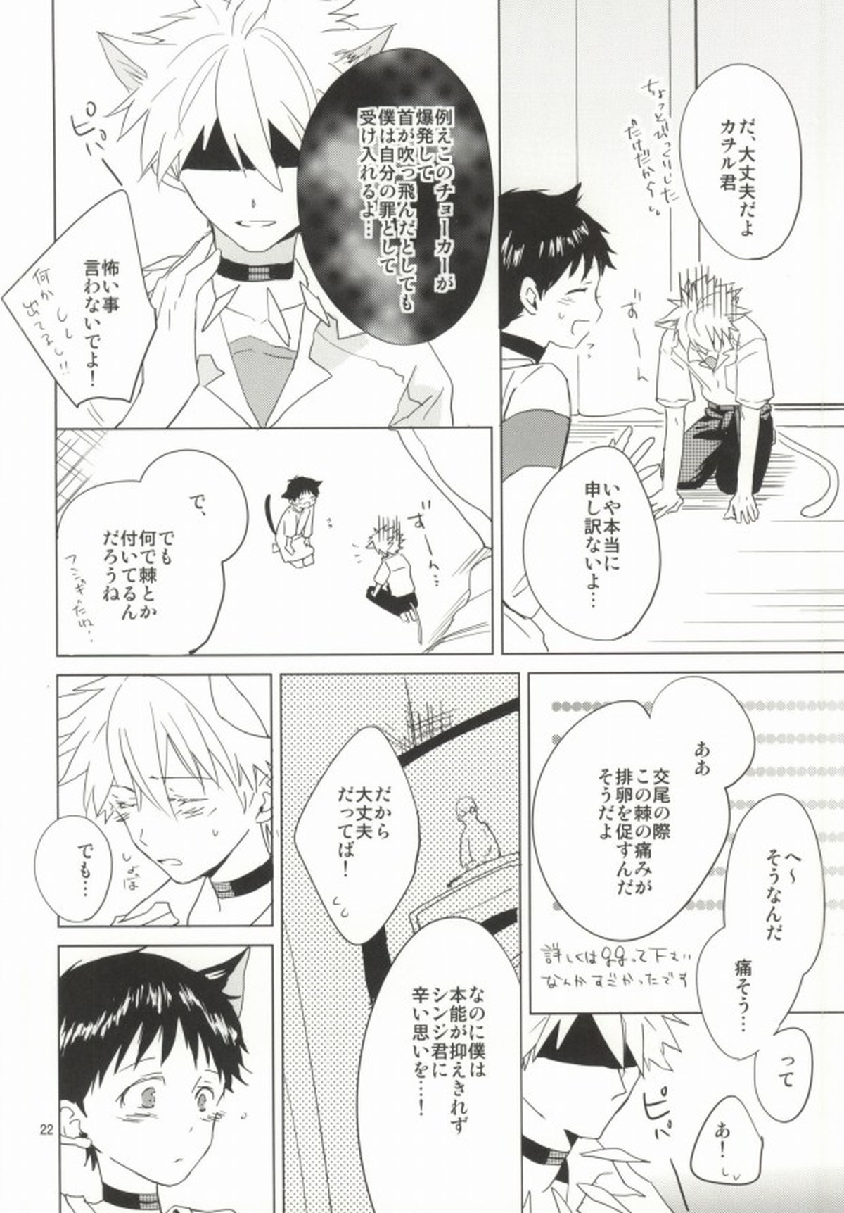 シンちゃんが発情期になりました。【新世紀エヴァンゲリオン/カヲシン】 page 21