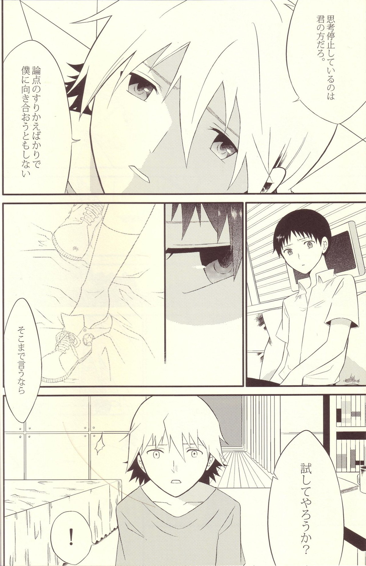 境界線上のSとM【新世紀エヴァンゲリオン/カヲシン】 page 11