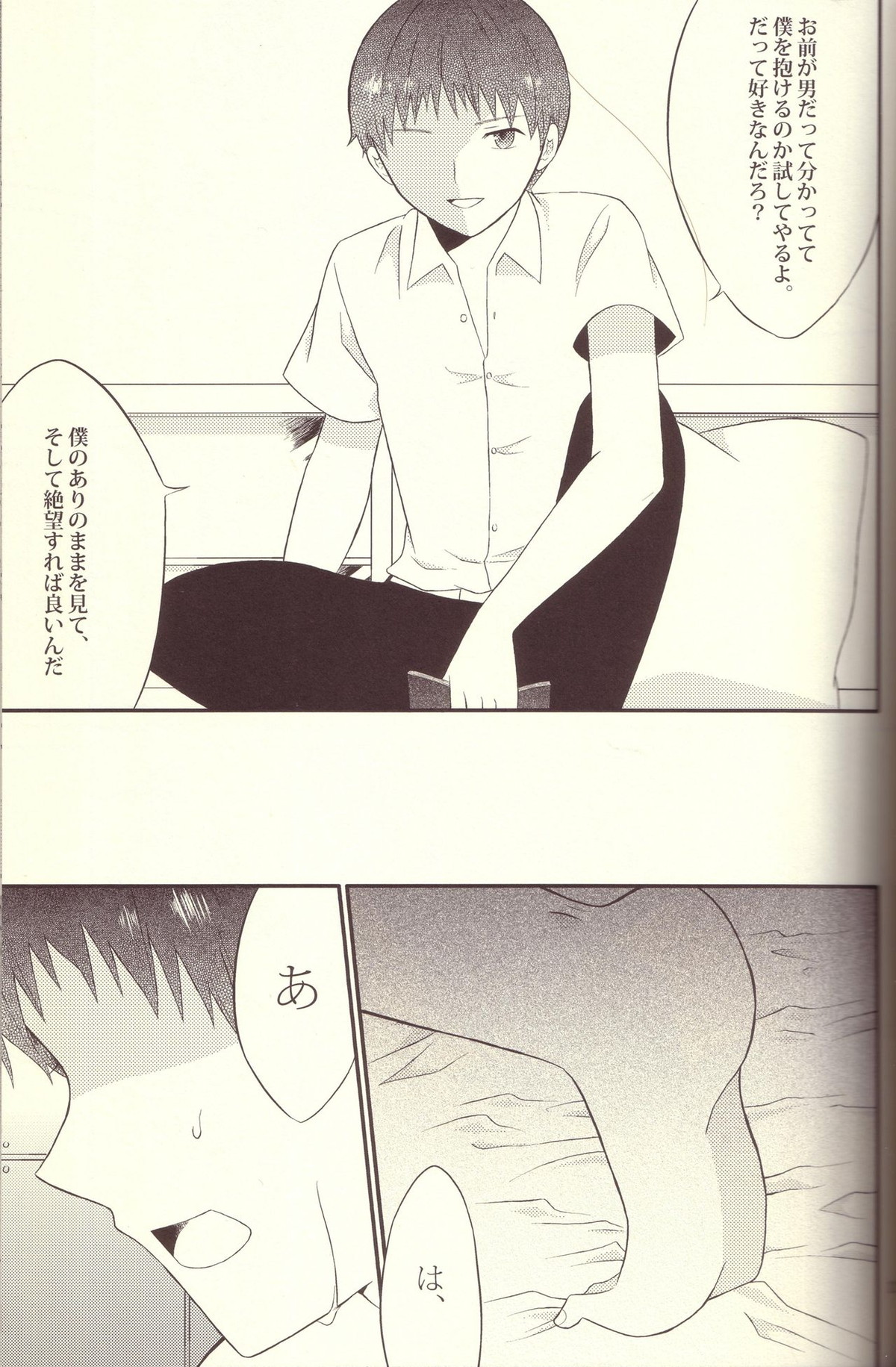 境界線上のSとM【新世紀エヴァンゲリオン/カヲシン】 page 12