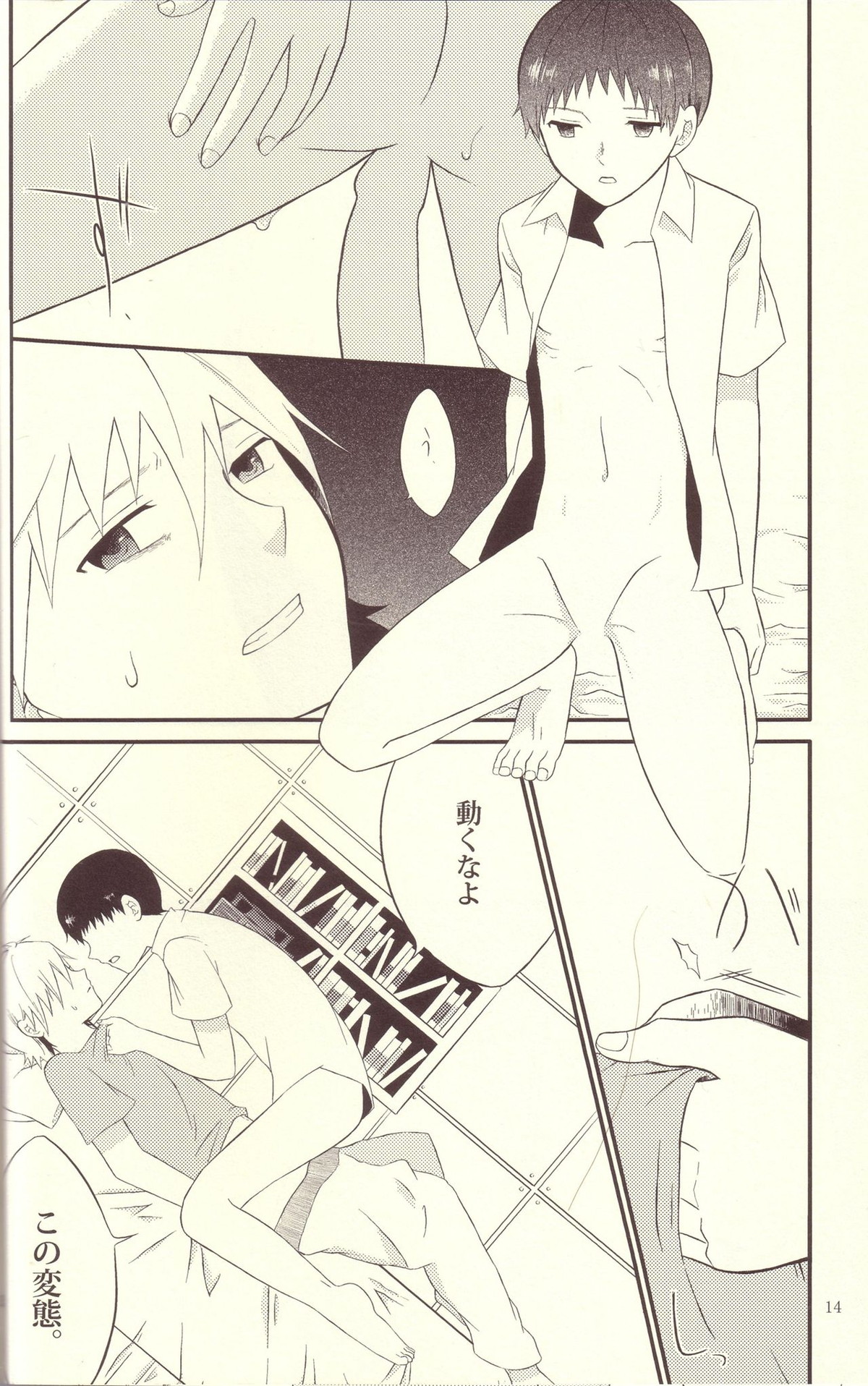 境界線上のSとM【新世紀エヴァンゲリオン/カヲシン】 page 13