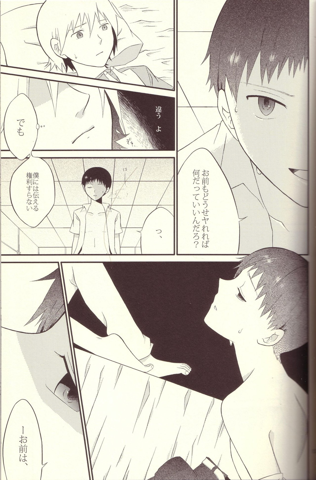 境界線上のSとM【新世紀エヴァンゲリオン/カヲシン】 page 14