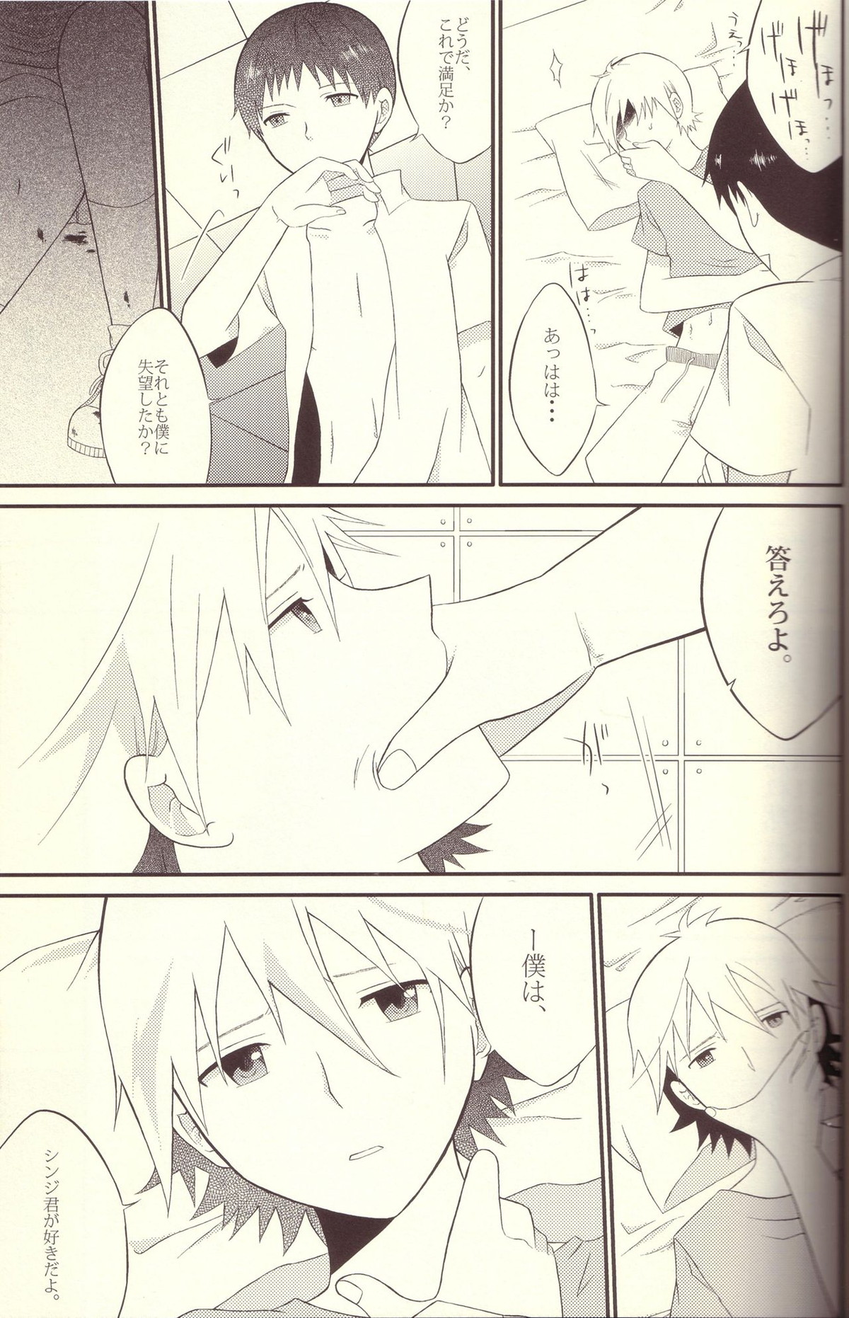 境界線上のSとM【新世紀エヴァンゲリオン/カヲシン】 page 18