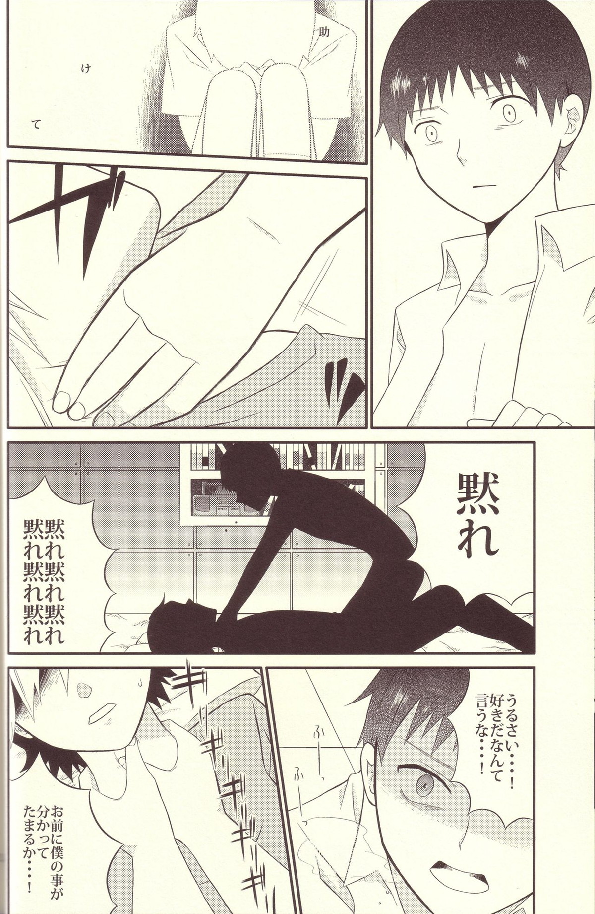 境界線上のSとM【新世紀エヴァンゲリオン/カヲシン】 page 19