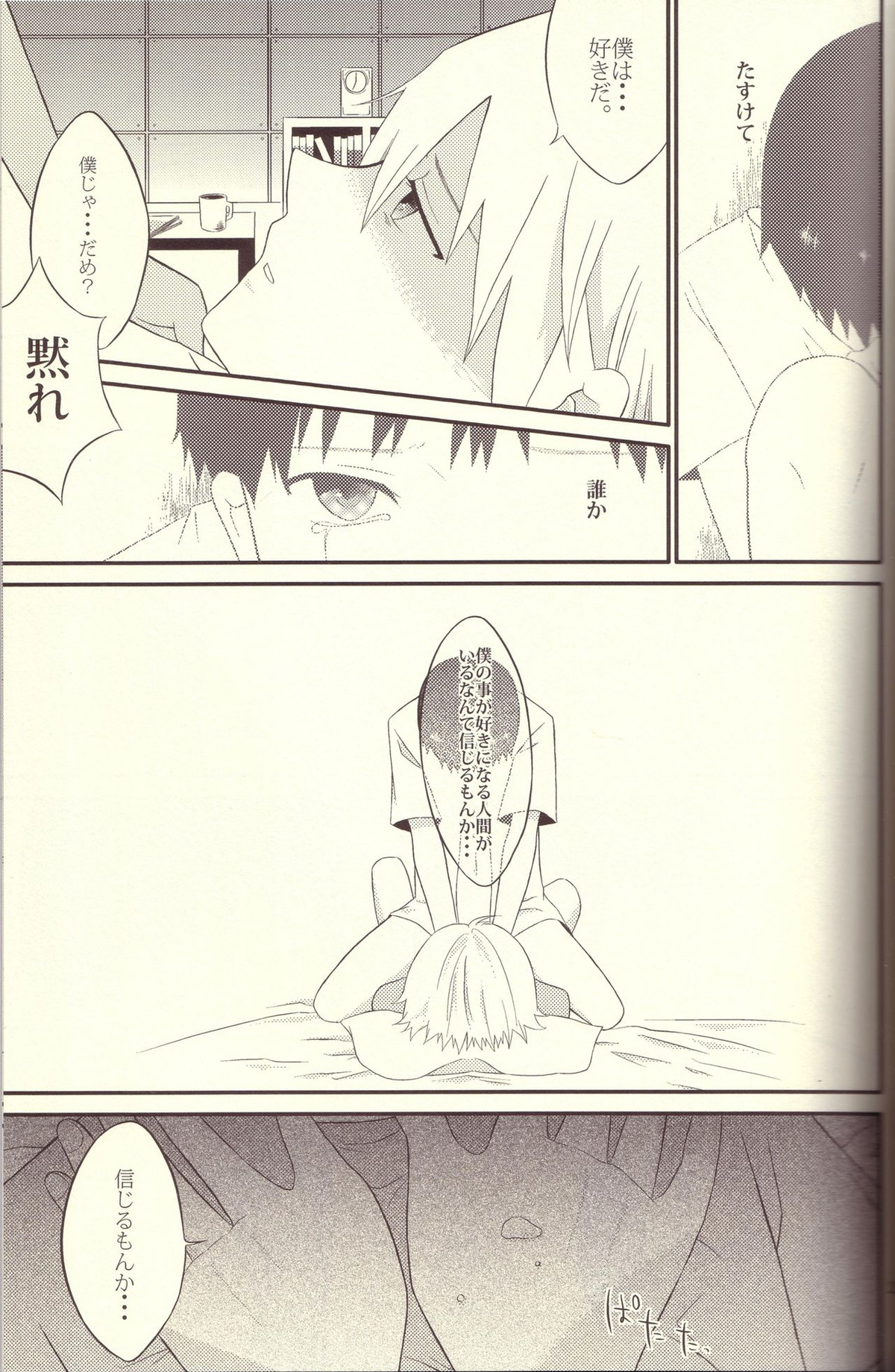 境界線上のSとM【新世紀エヴァンゲリオン/カヲシン】 page 20