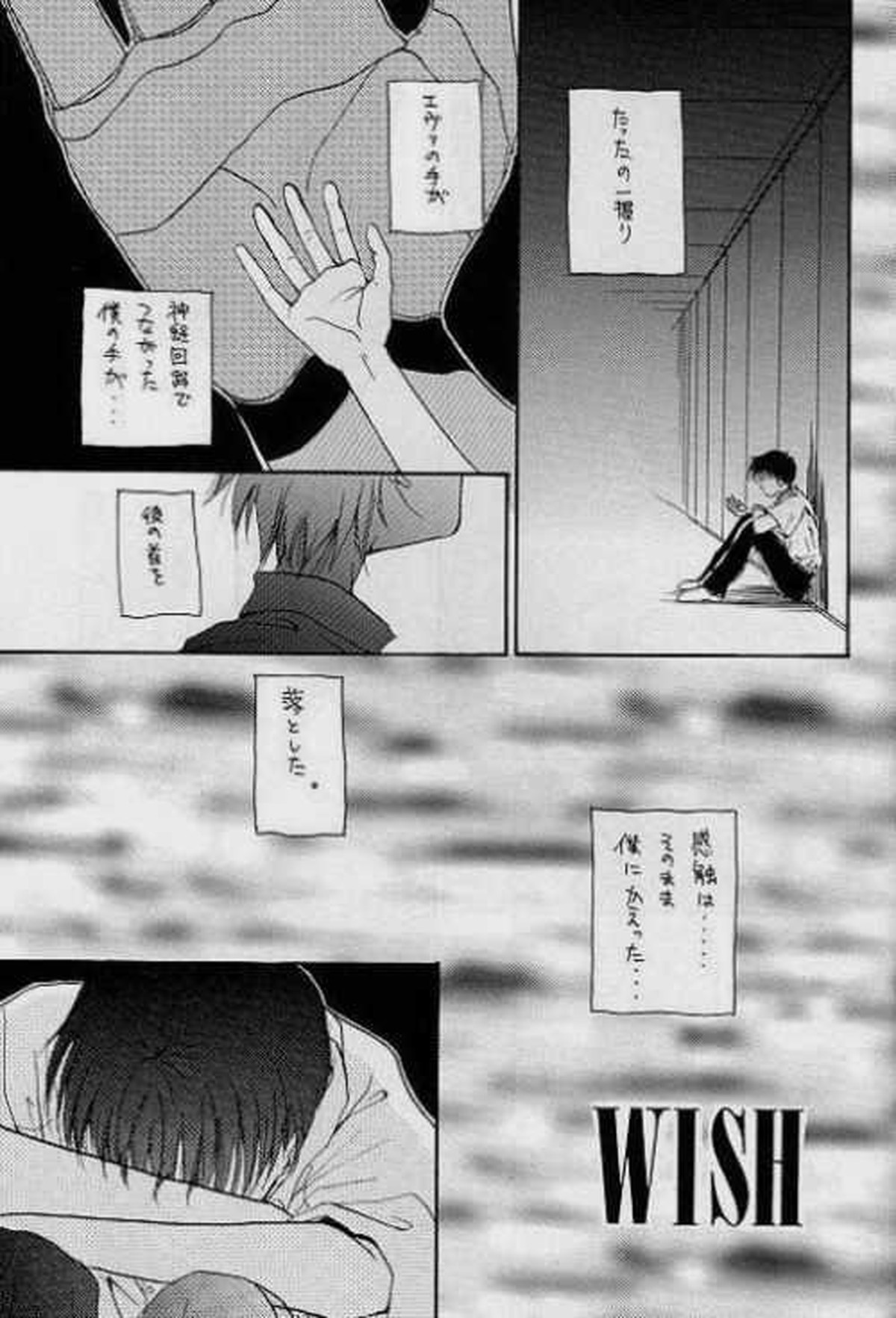 ロストシープ【新世紀エヴァンゲリオン/カヲシン】 page 17