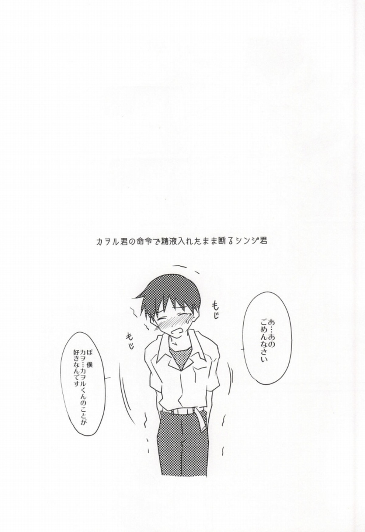 フラグ回収【新世紀エヴァンゲリオン/カヲシン】 page 19