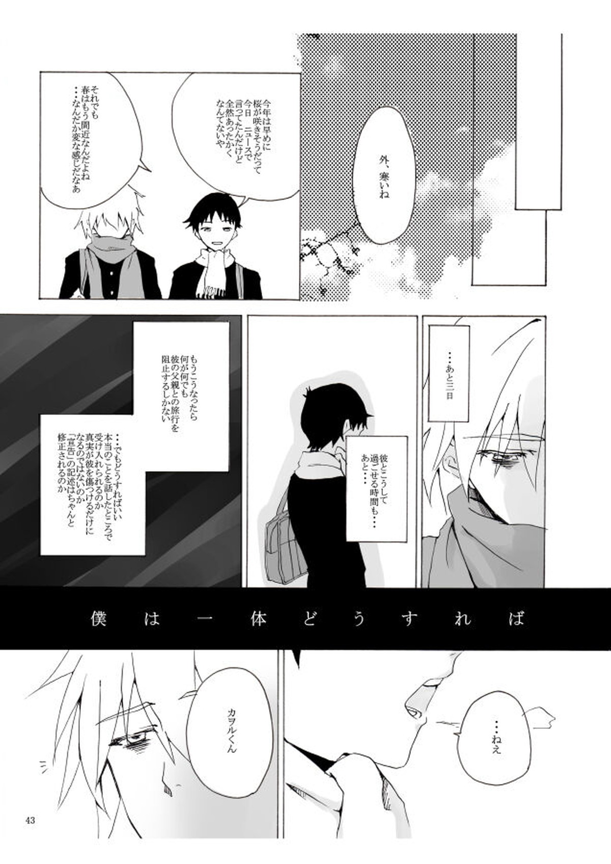 白い、白い宣告【新世紀エヴァンゲリオン/カヲシン】 page 44