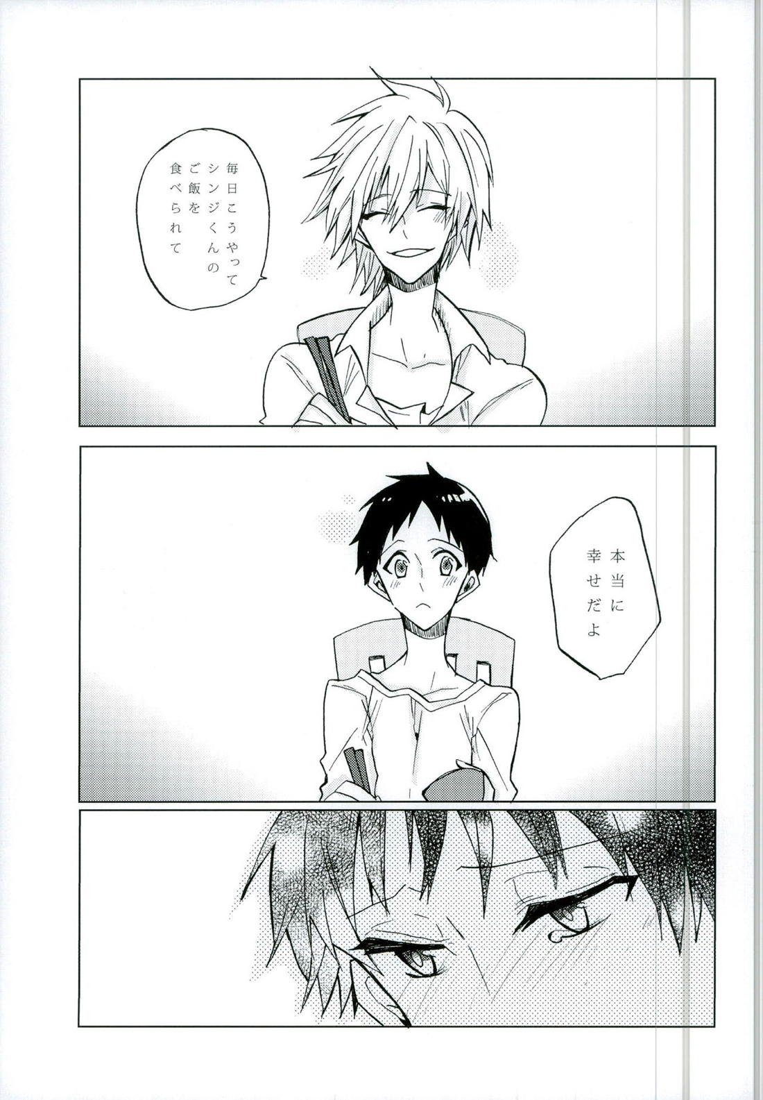 恋は小説より奇なり【新世紀エヴァンゲリオン/カヲシン】 page 16
