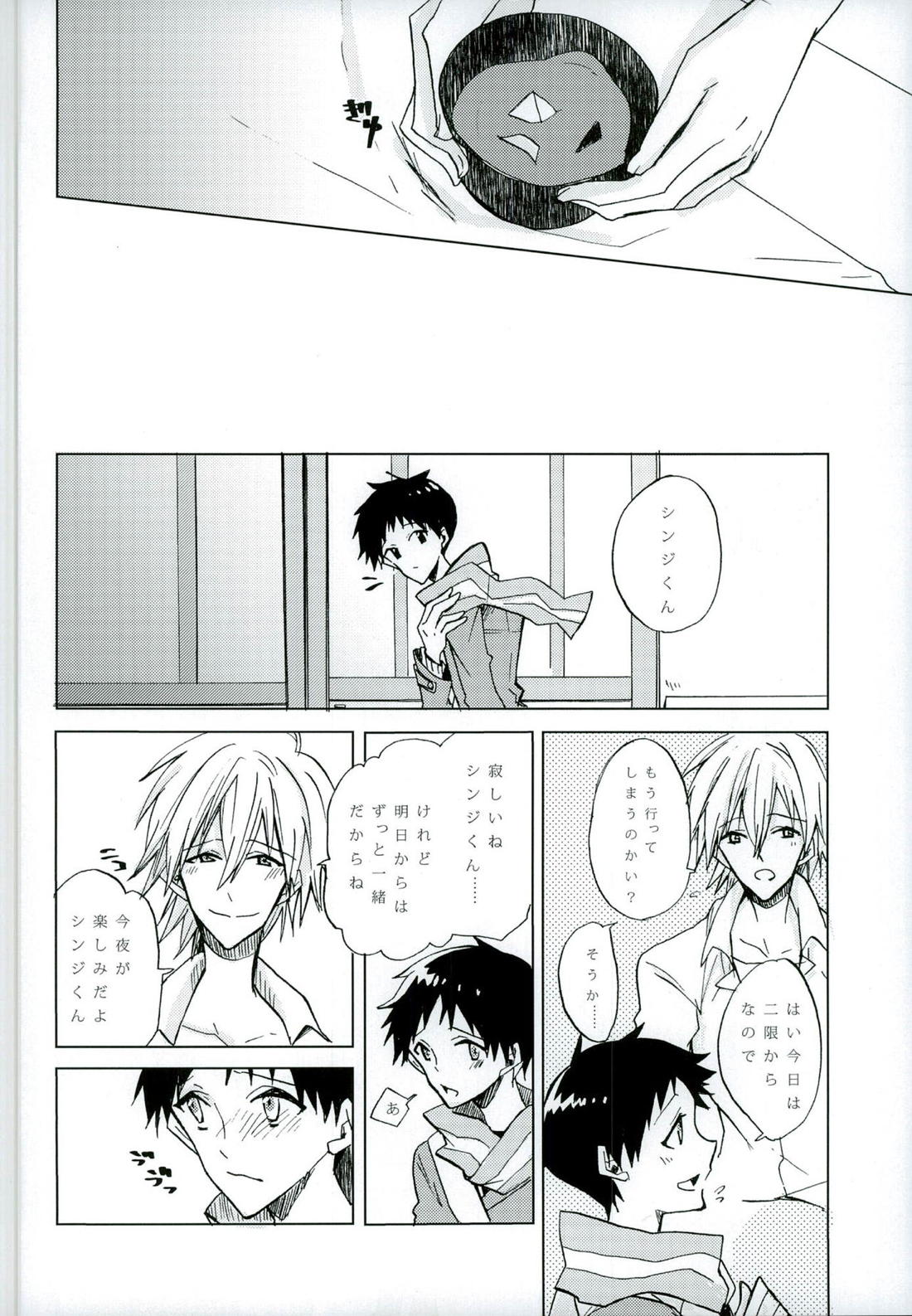 恋は小説より奇なり【新世紀エヴァンゲリオン/カヲシン】 page 17