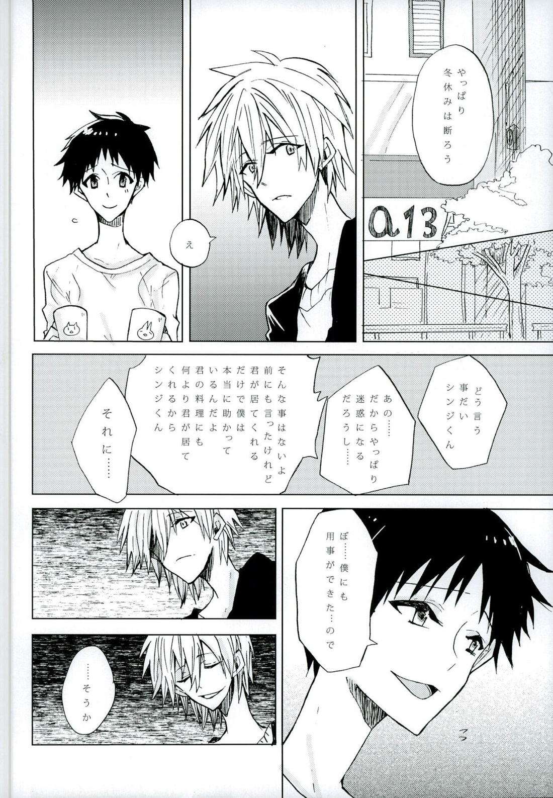 恋は小説より奇なり【新世紀エヴァンゲリオン/カヲシン】 page 21
