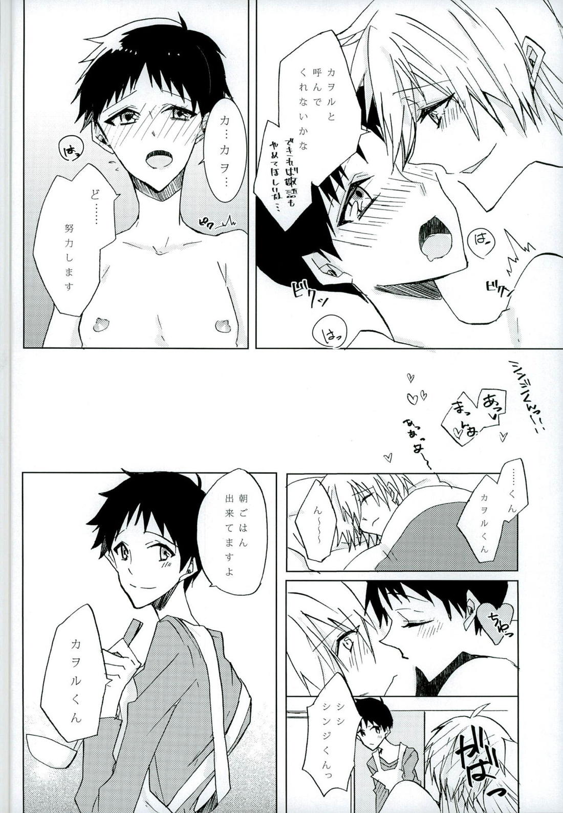 恋は小説より奇なり【新世紀エヴァンゲリオン/カヲシン】 page 27