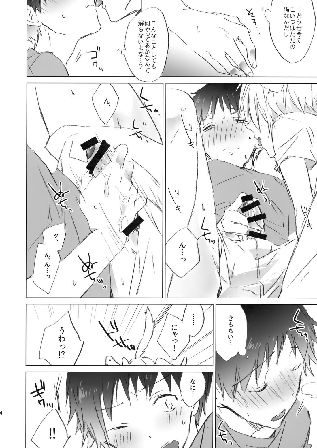 NECOKARE【新世紀エヴァンゲリオン/カヲシン】 page 13